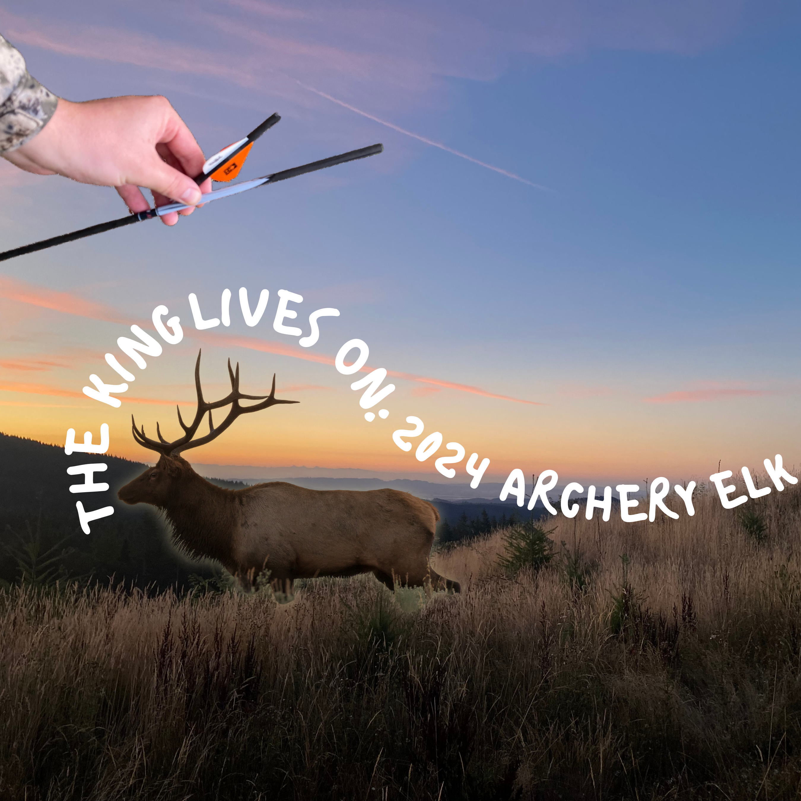 The King Lives On: Oregon Archery Elk Story 2024