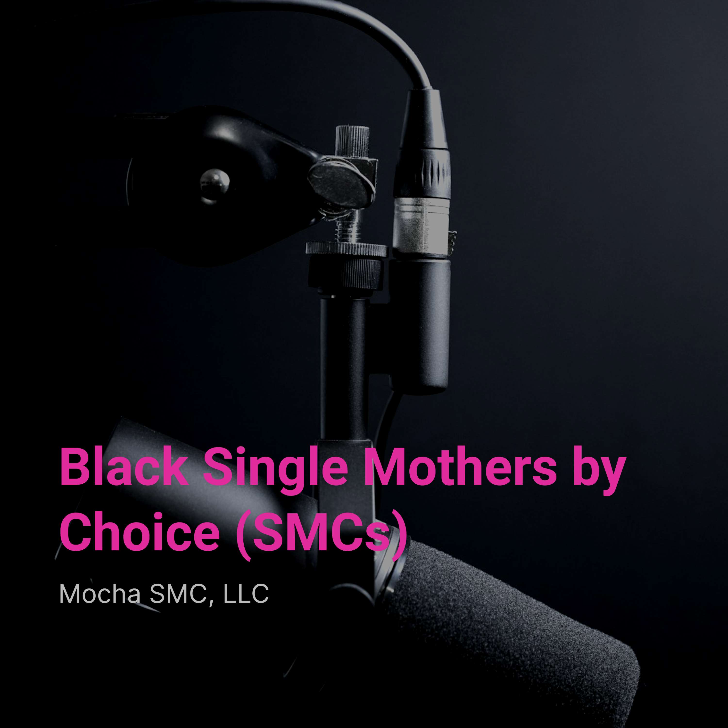 S4E2: Living Brave, the Day-to-Day Realities of Single Motherhood by Choice