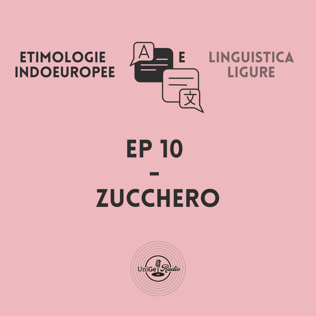 Ep. 10: L'etimologia di "Zucchero"