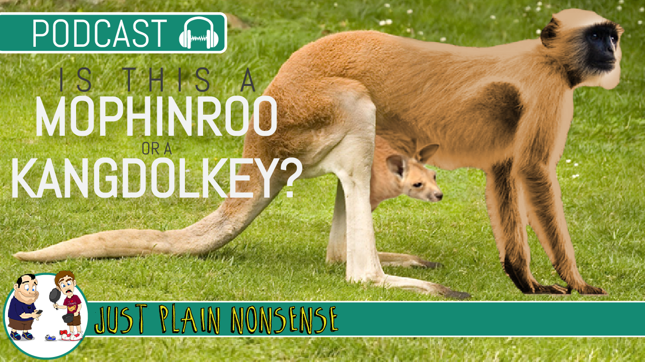 We Created Our Own Robots and Animals | Episode 41