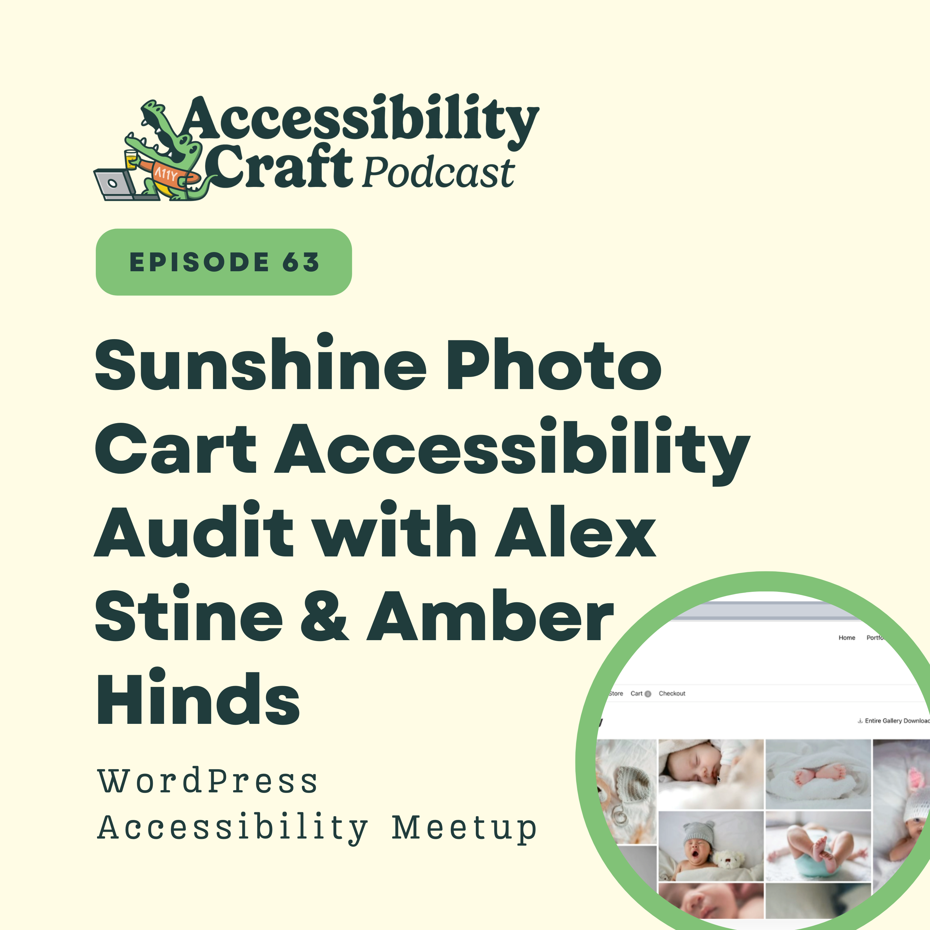 
                    Sunshine Photo Cart Accessibility Audit with Alex Stine & Amber Hinds
                