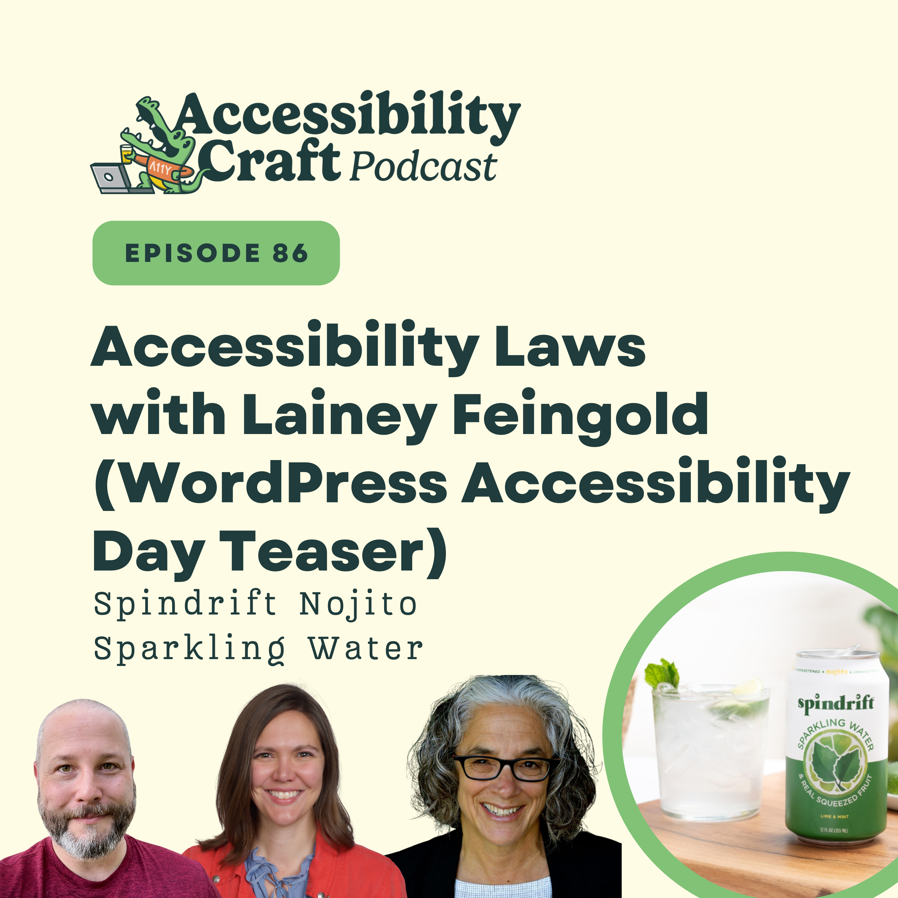 
                    Accessibility Laws with Lainey Feingold + WP Accessibility Day Teaser | Spindrift Nojito
                