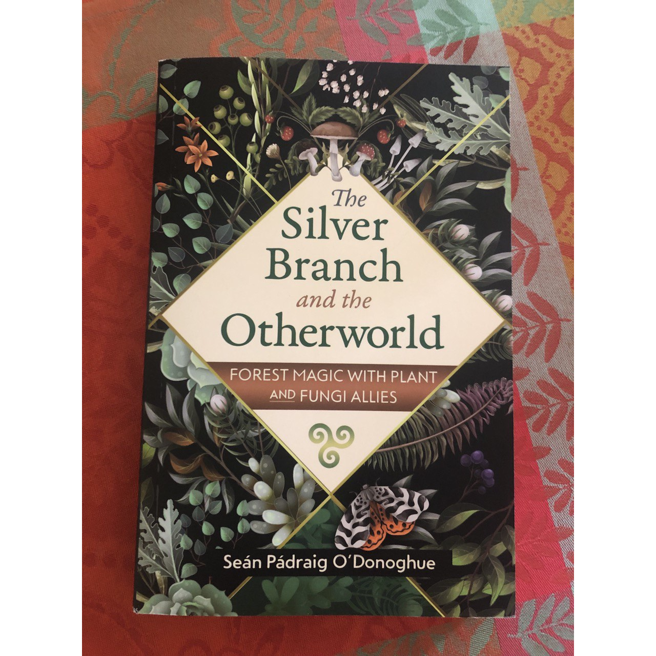 The Silver Branch and the Otherworld • Episode 42 • Free •