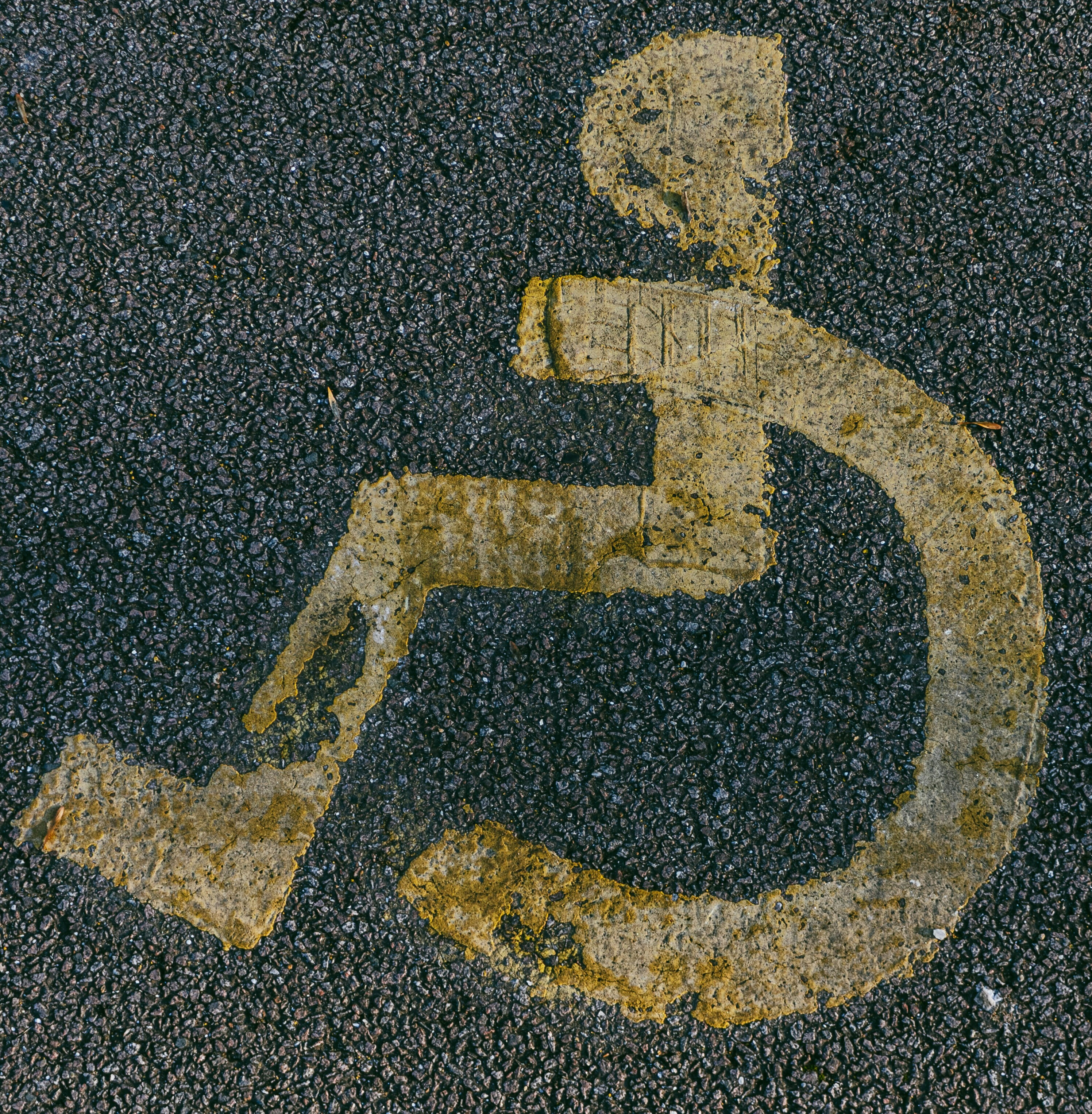 Planes & Determination: A Disabled Traveler’s Journey Through Chaos