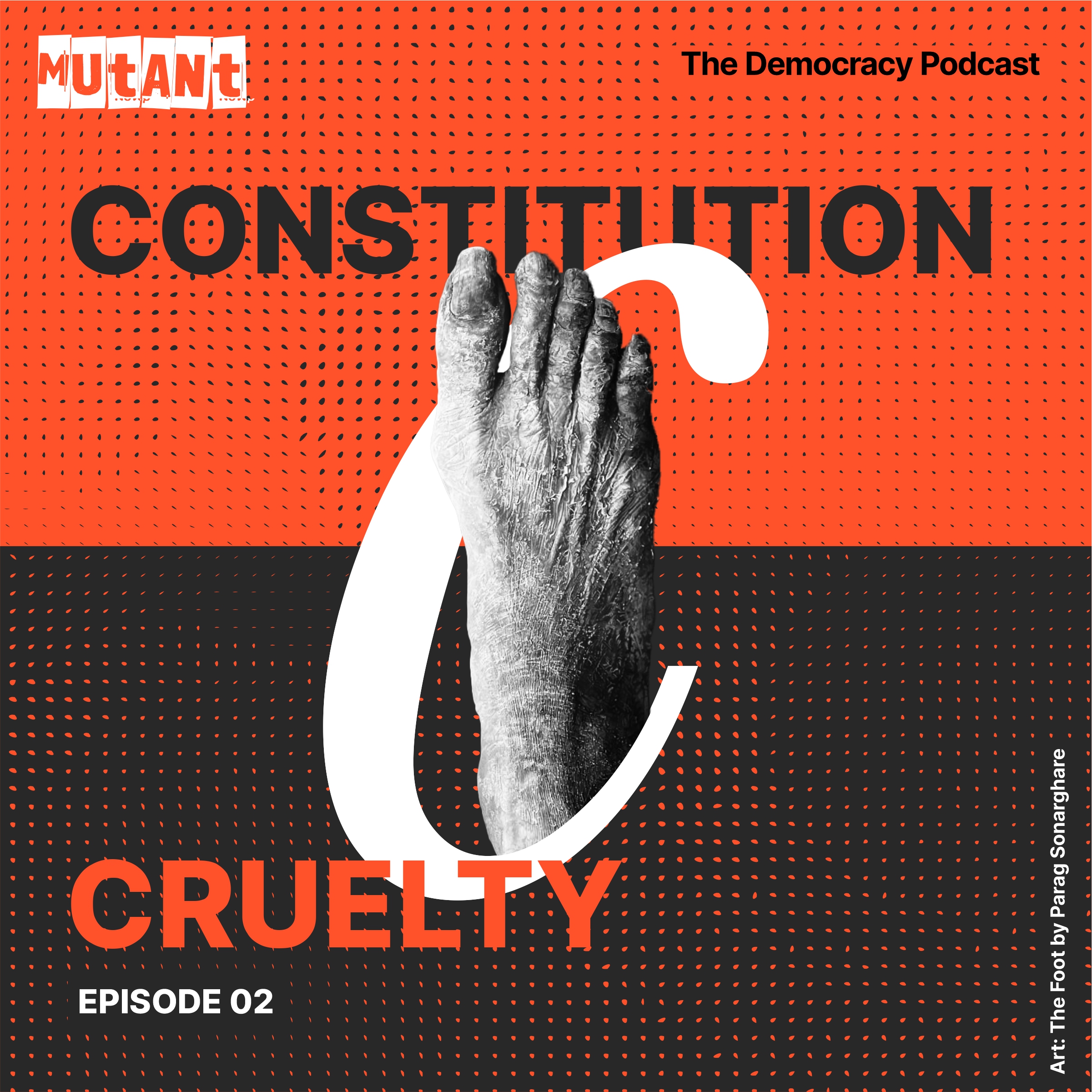 C | CONSTITUTION & CRUELTY