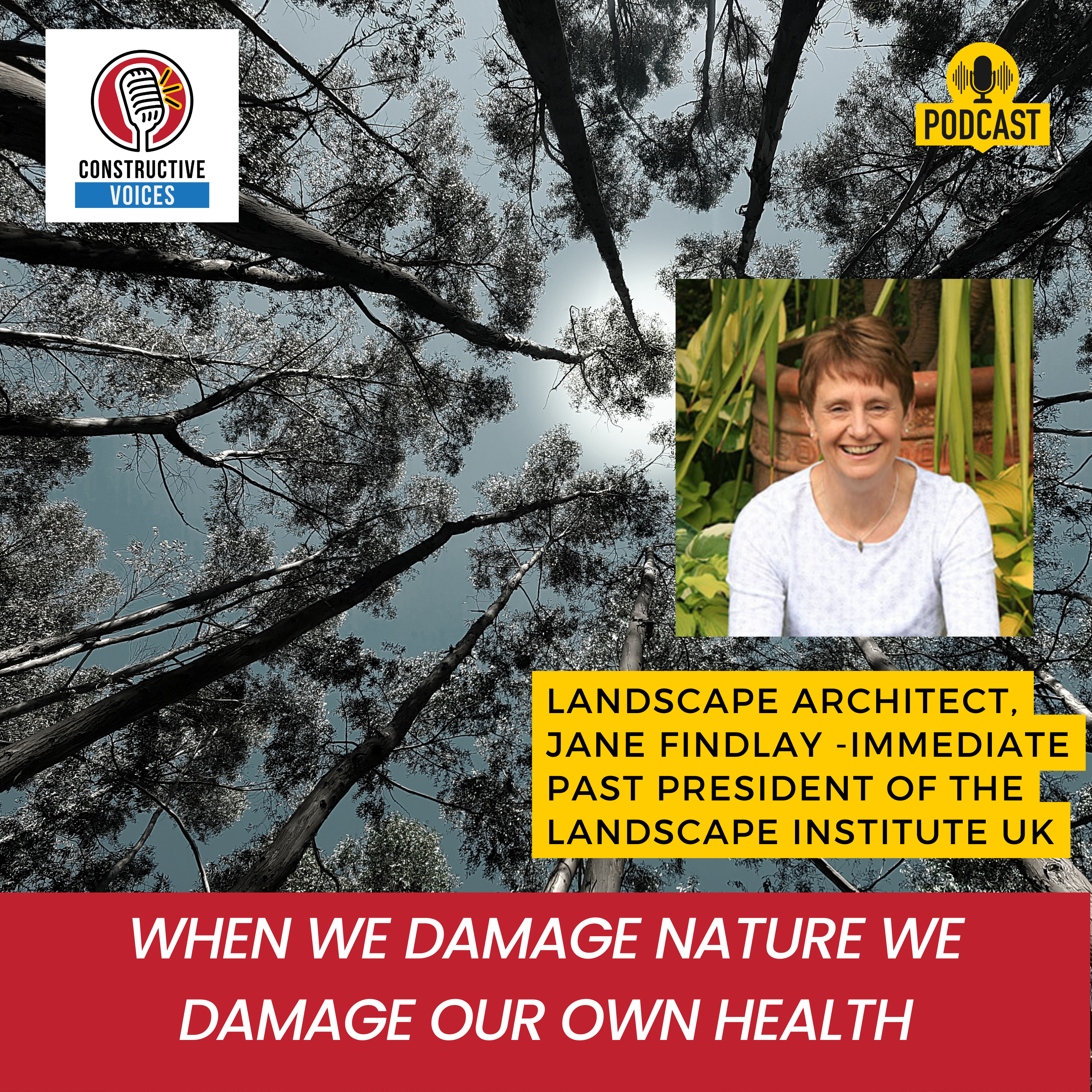 Jane Findlay: When We Damage Nature We Damage Our Own Health