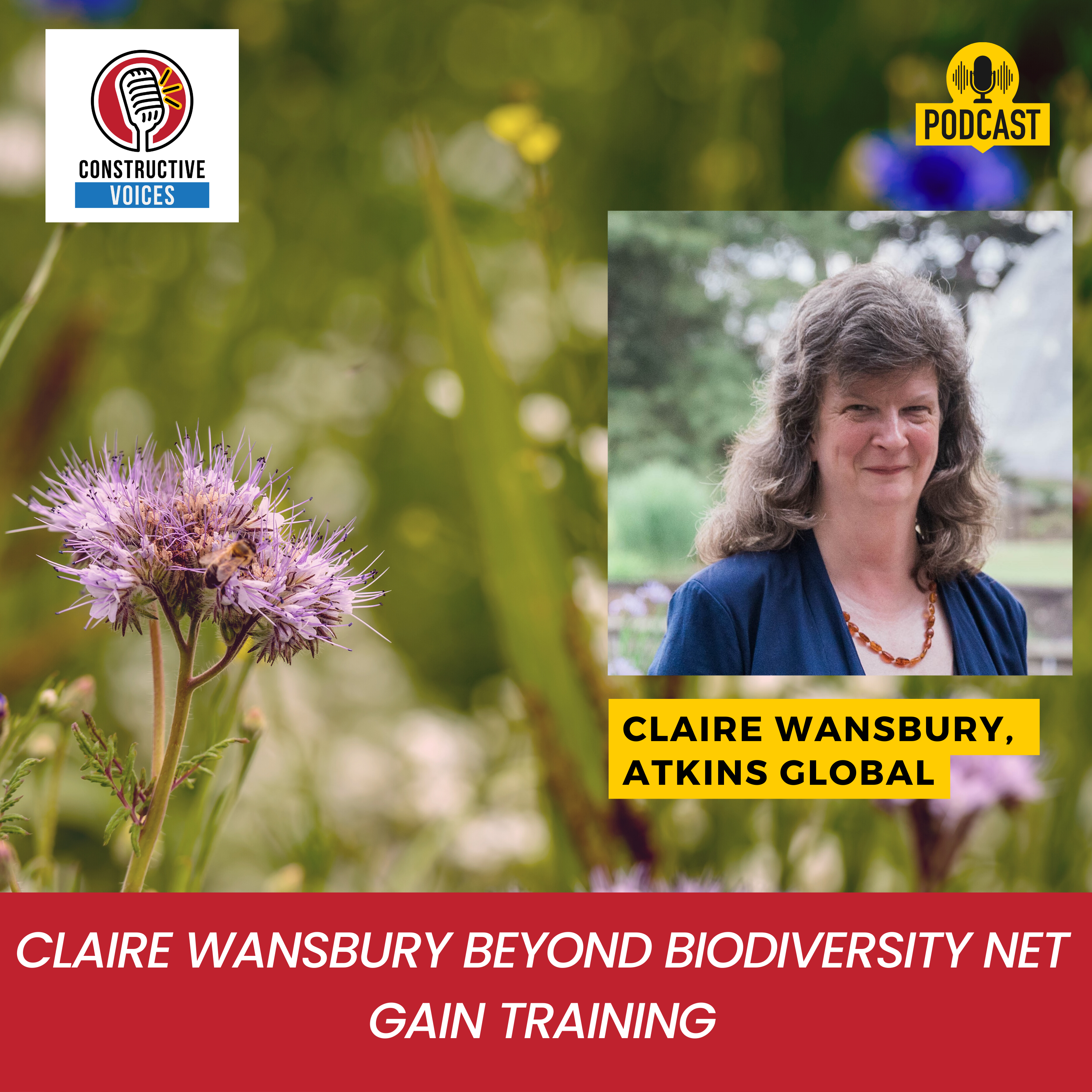 Claire Wansbury Beyond Biodiversity Net Gain Training