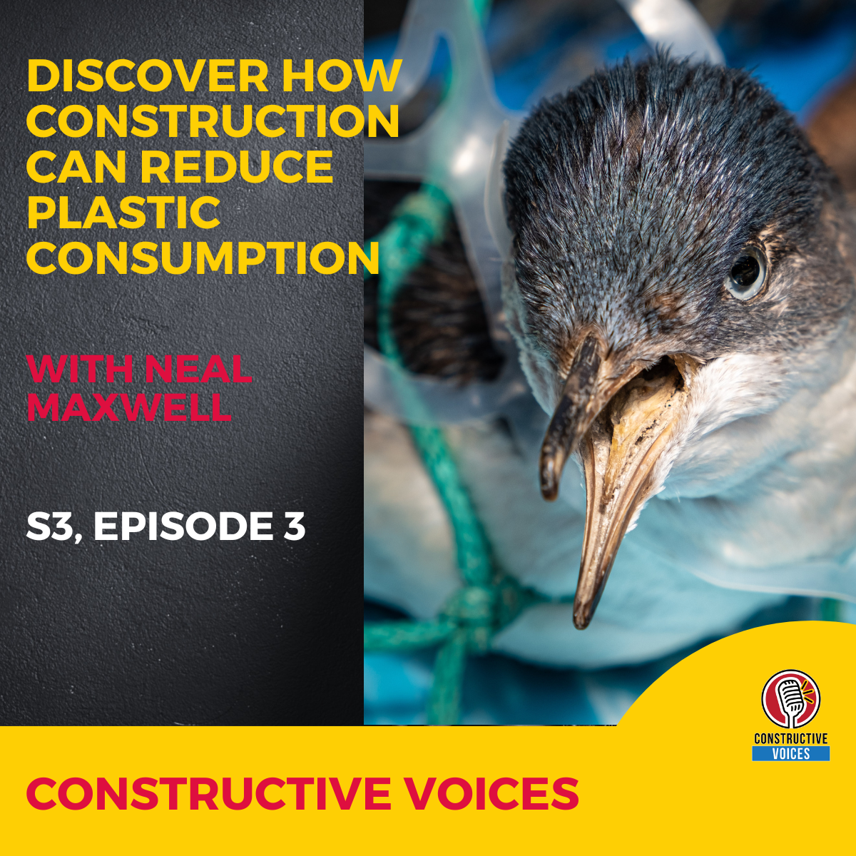 Discover How Construction Can Reduce Plastic Consumption With Neal Maxwell