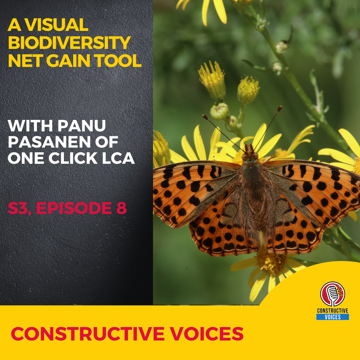 A Visual Biodiversity Net Gain Tool With Panu Pasanen of One Click LCA