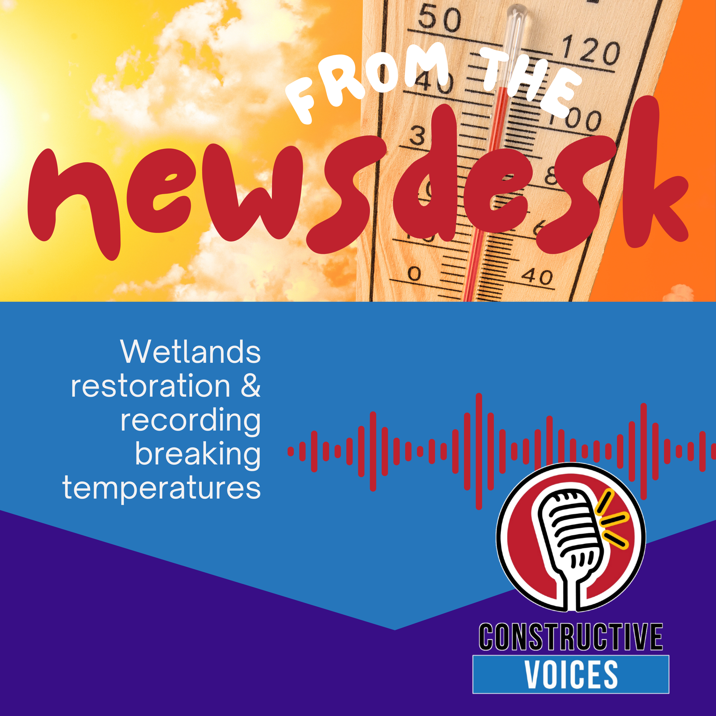 Newsflash: Wetlands Restoration & Recording Breaking Temperatures