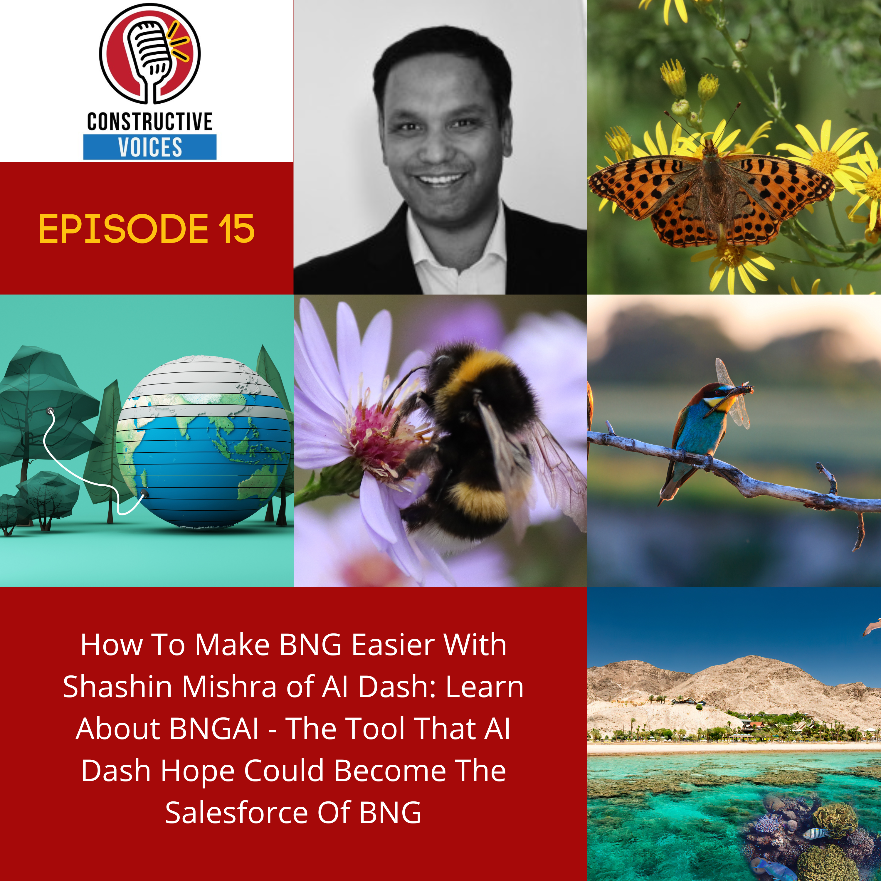 How AI and Satellite Technology Are Revolutionising Biodiversity Net Gain with Shashin Mishra