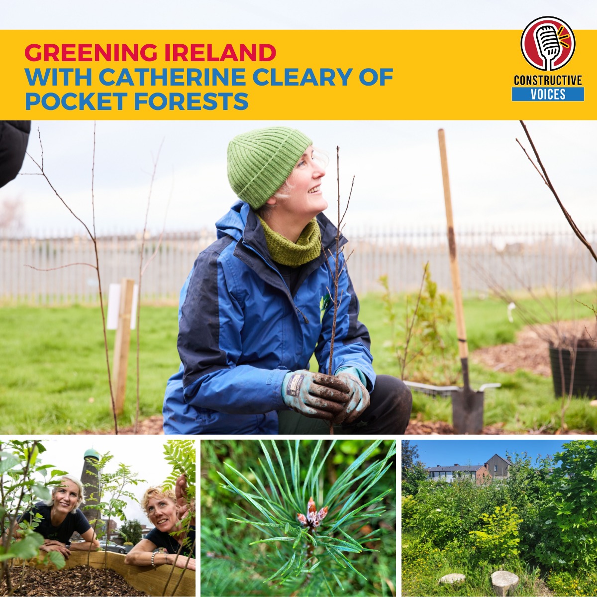 Greening Ireland: From Pocket Forests to Native Woodlands With Catherine Cleary