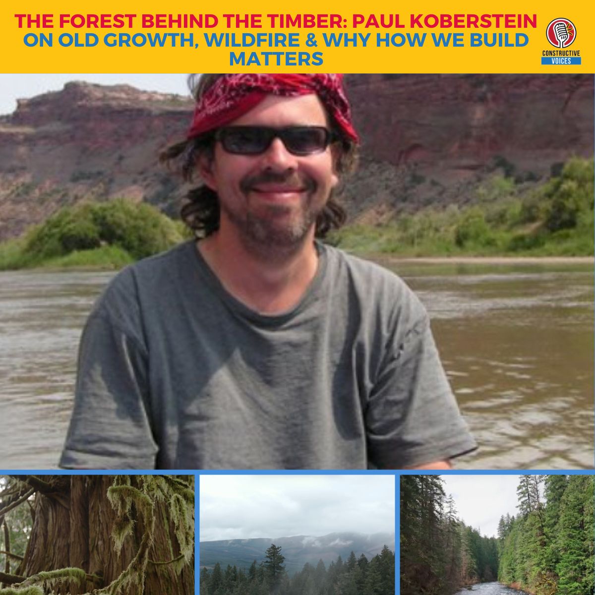 The Forest Behind The Timber: Paul Koberstein On Old Growth, Wildfire & Why How We Build Matters