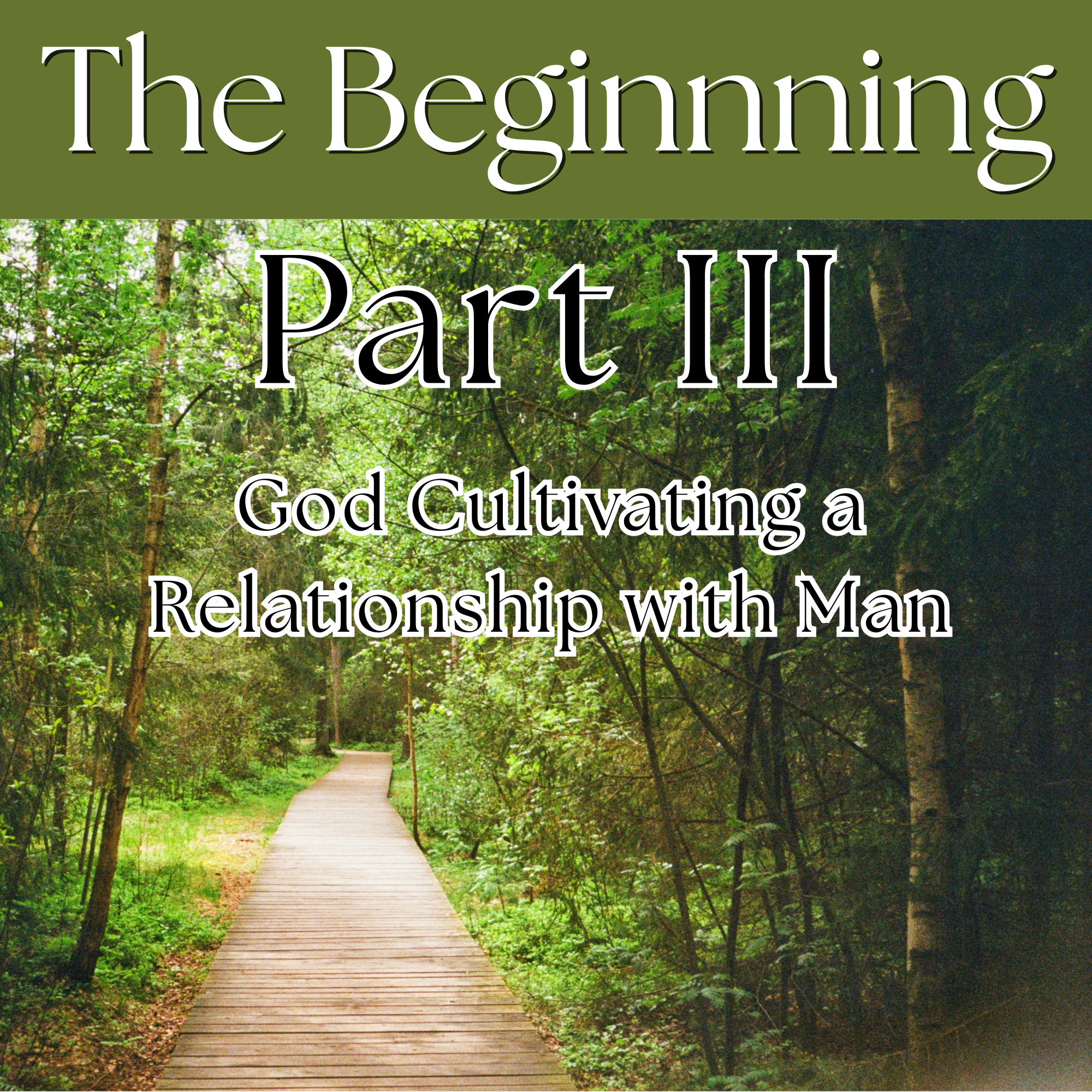 The Beginning Part 3 |God Cultivating a Relationship with Man