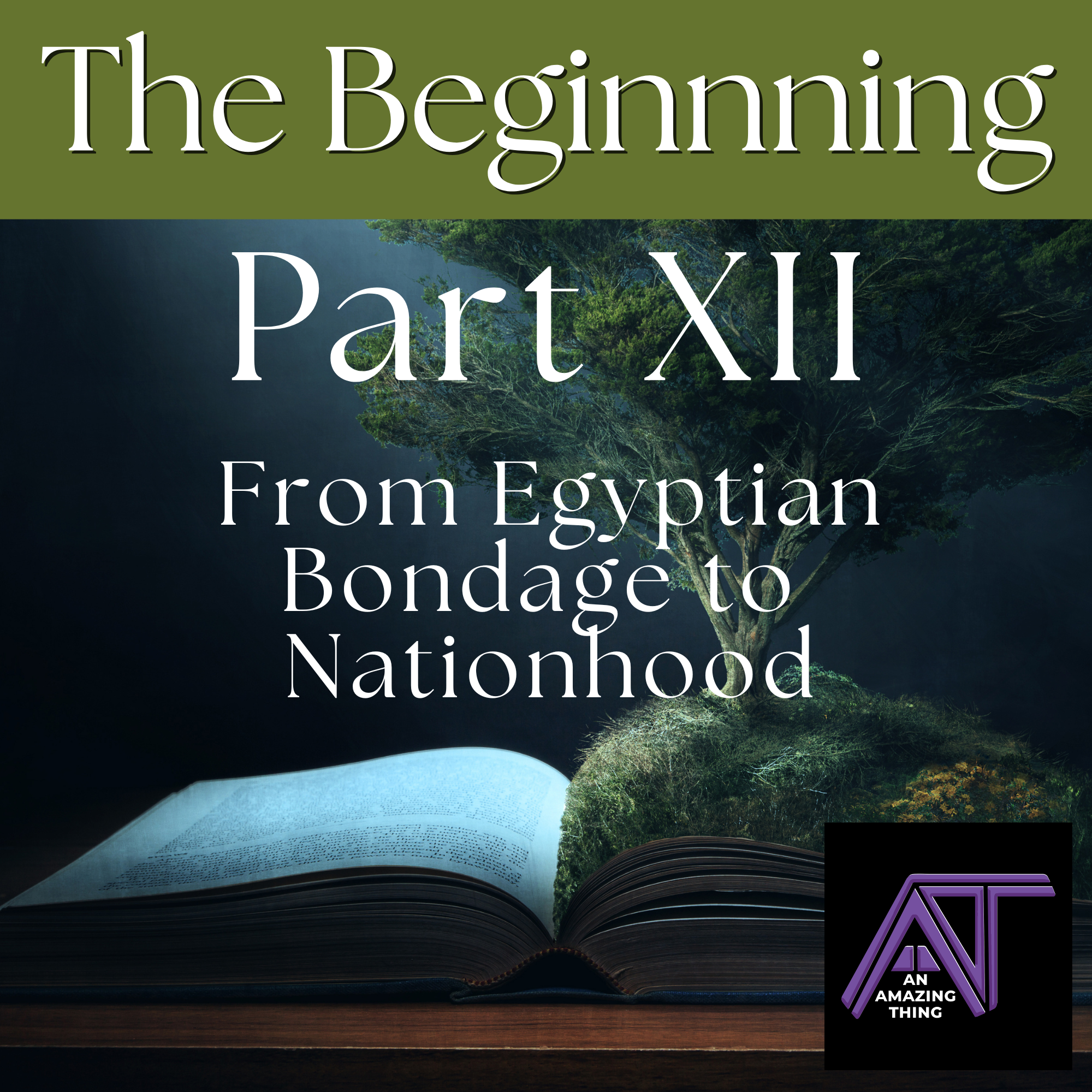 The Beginning – Lesson 12: From Egyptian Bondage to Nationhood