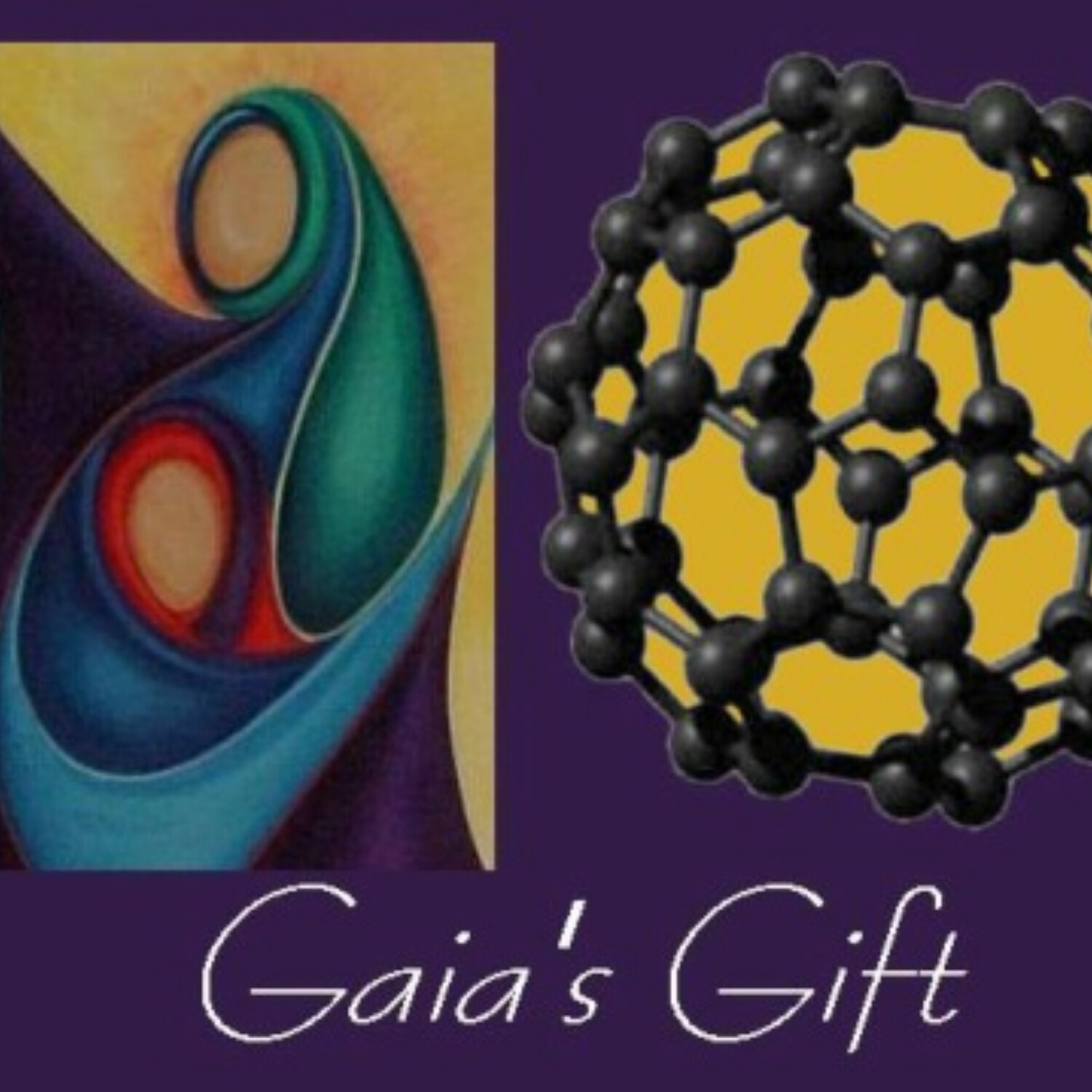 Gaia's Gift Newsletter #1 - Shungite Origins & Shungite Grid
