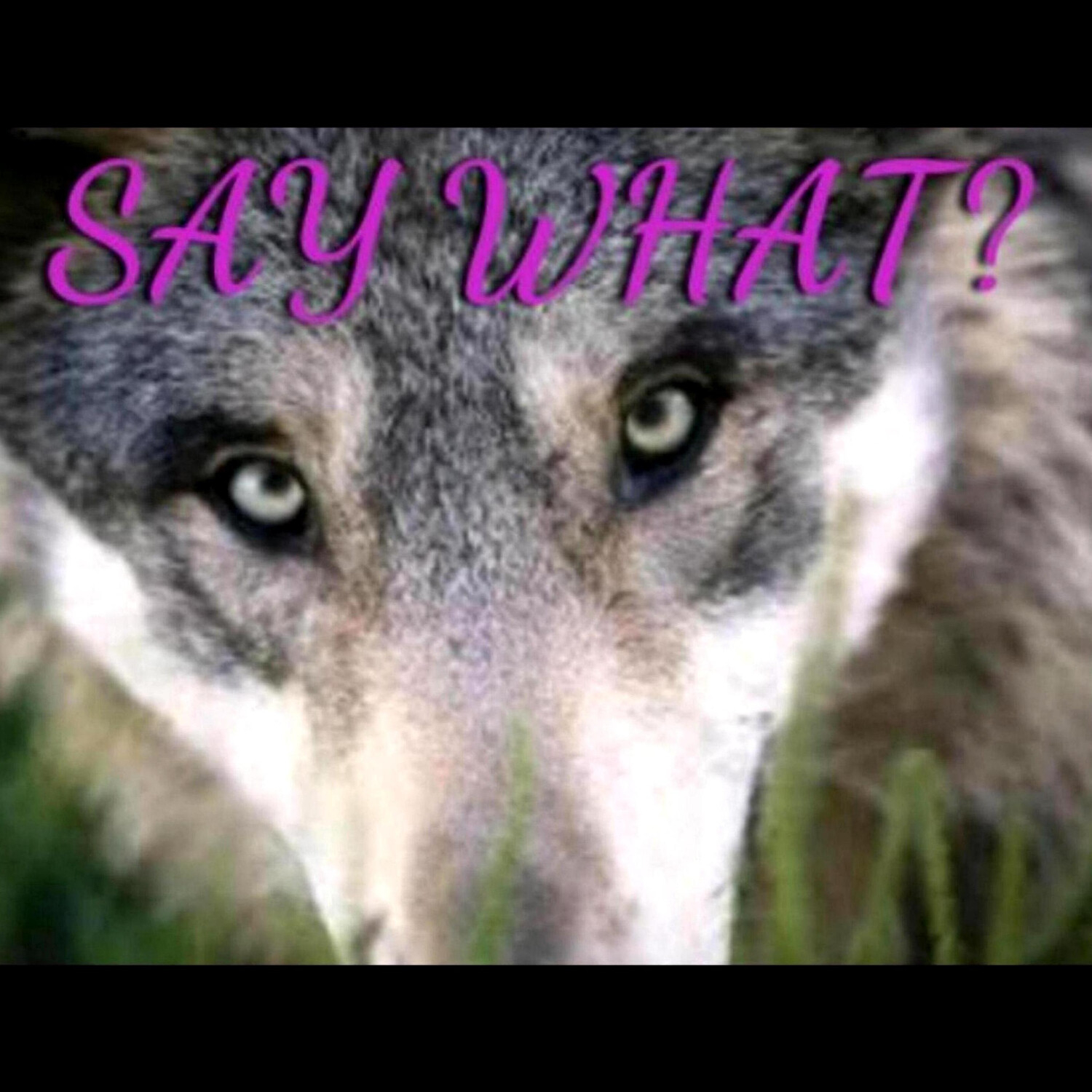 "SAY WHAT?" 6/18/22 - What Does Gaia Want?