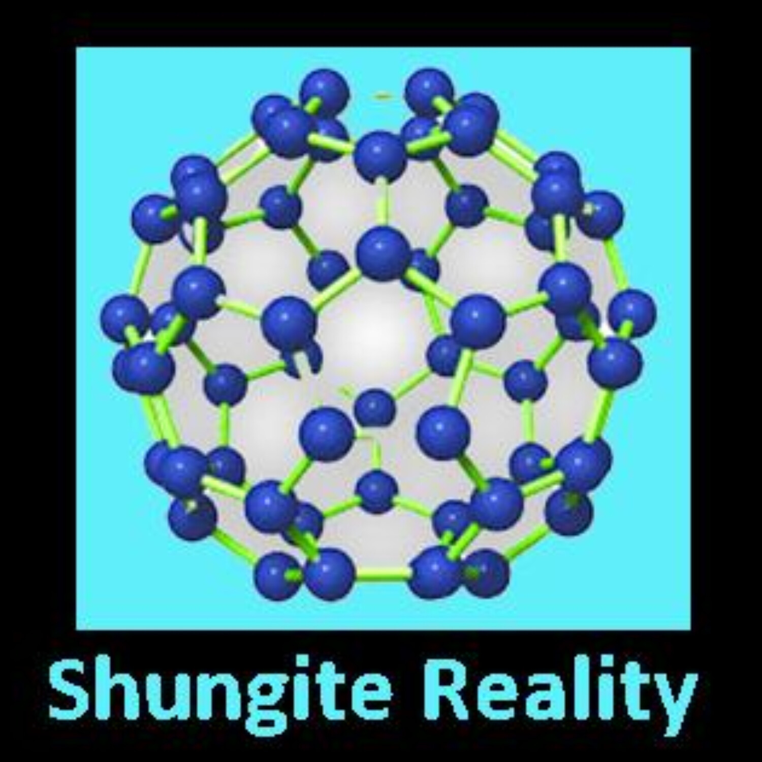 "SHUNGITE REALITY” 3/23/22 - Shungite Bees and Honey