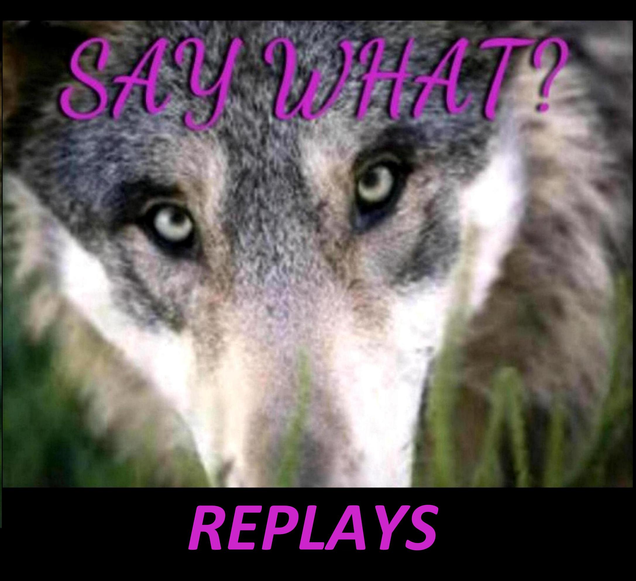 SAY WHAT REPLAY from 11-23-19 - Out of Towners