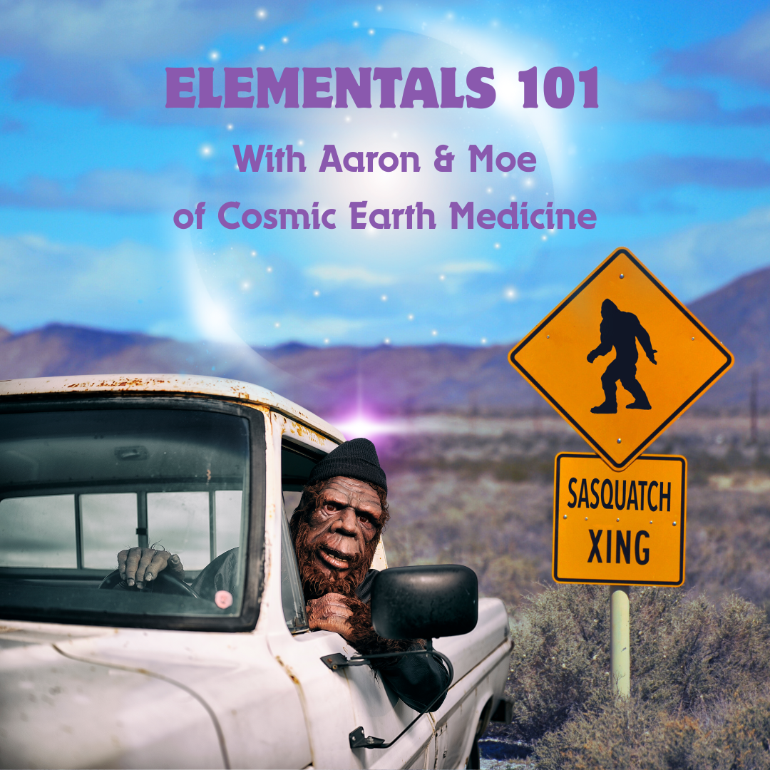 ELEMENTALS 101 with AARON & MOE of COSMIC EARTH MEDICINE