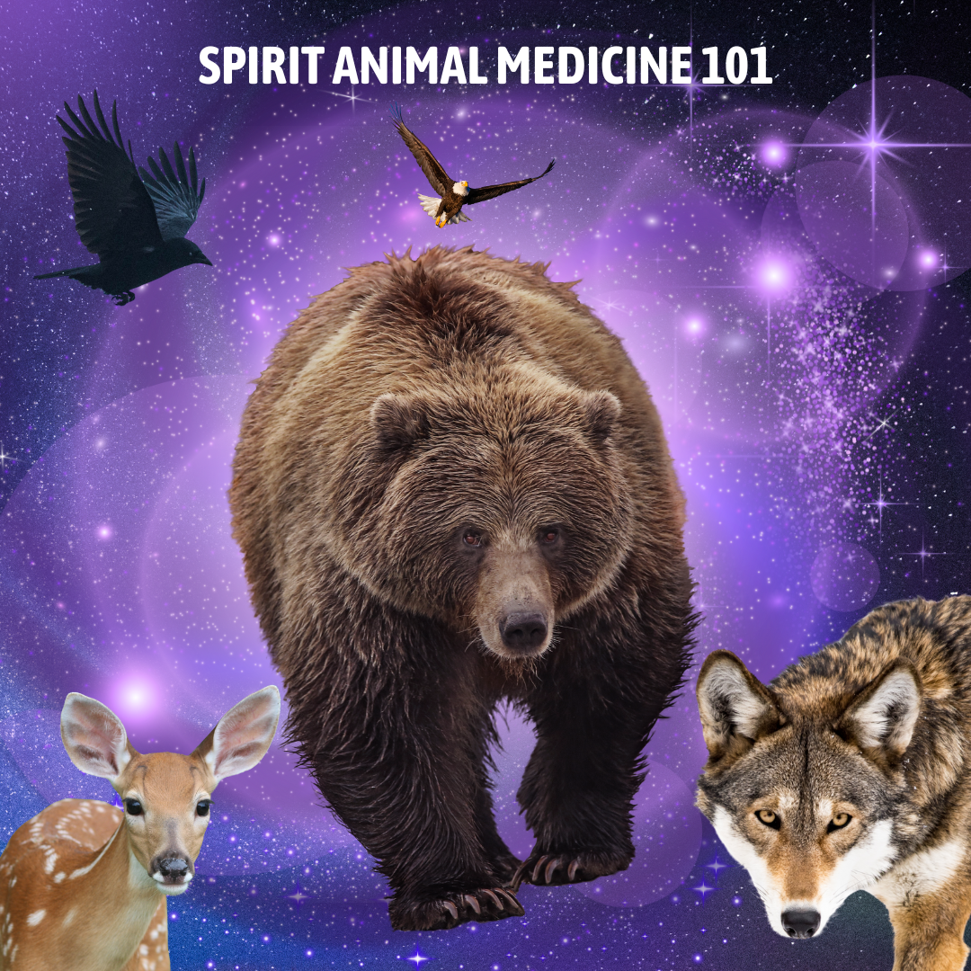 SPIRIT ANIMAL MEDICINE 101
