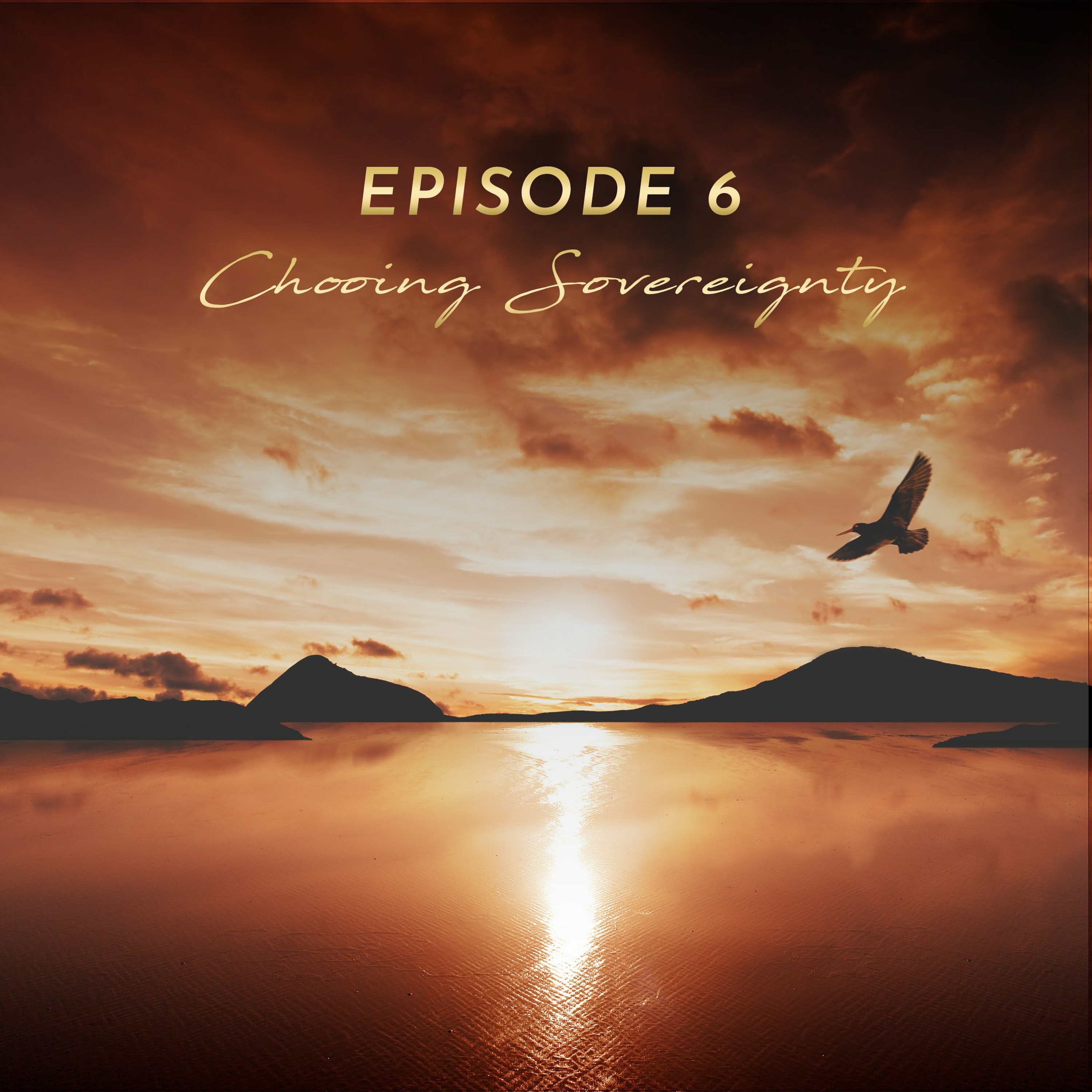 Episode 6: Choosing Sovereignty