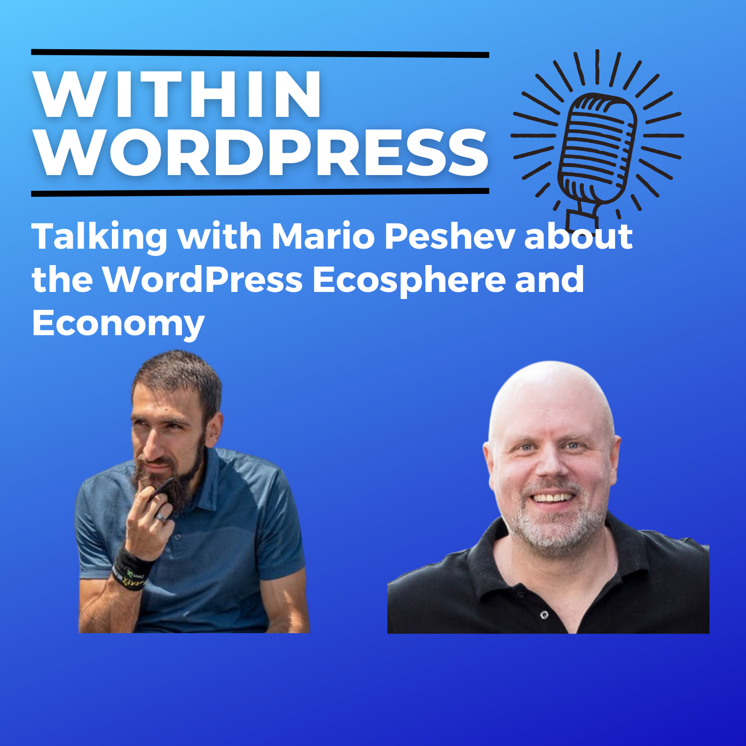 Talking with Mario Peshev about the WordPress Ecosphere and Economy