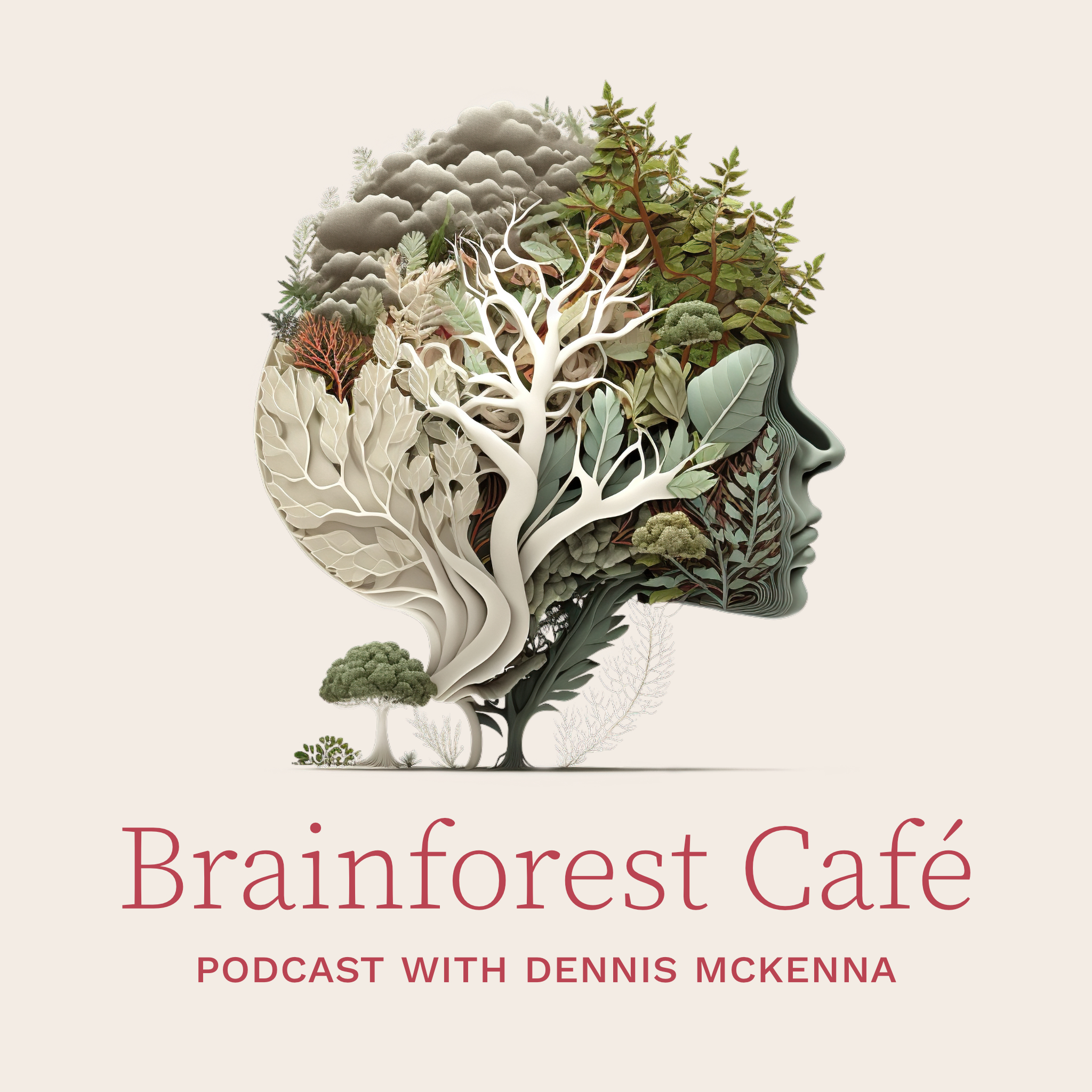 Brainforest Caf&eacute;