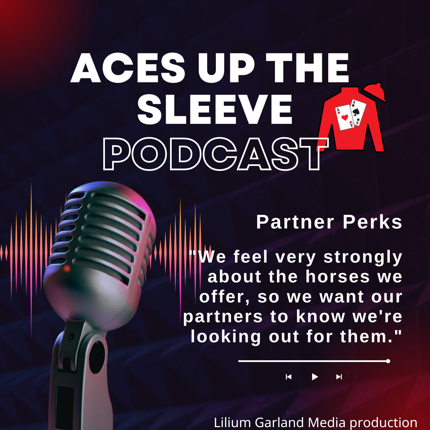 Partner Perks Episode