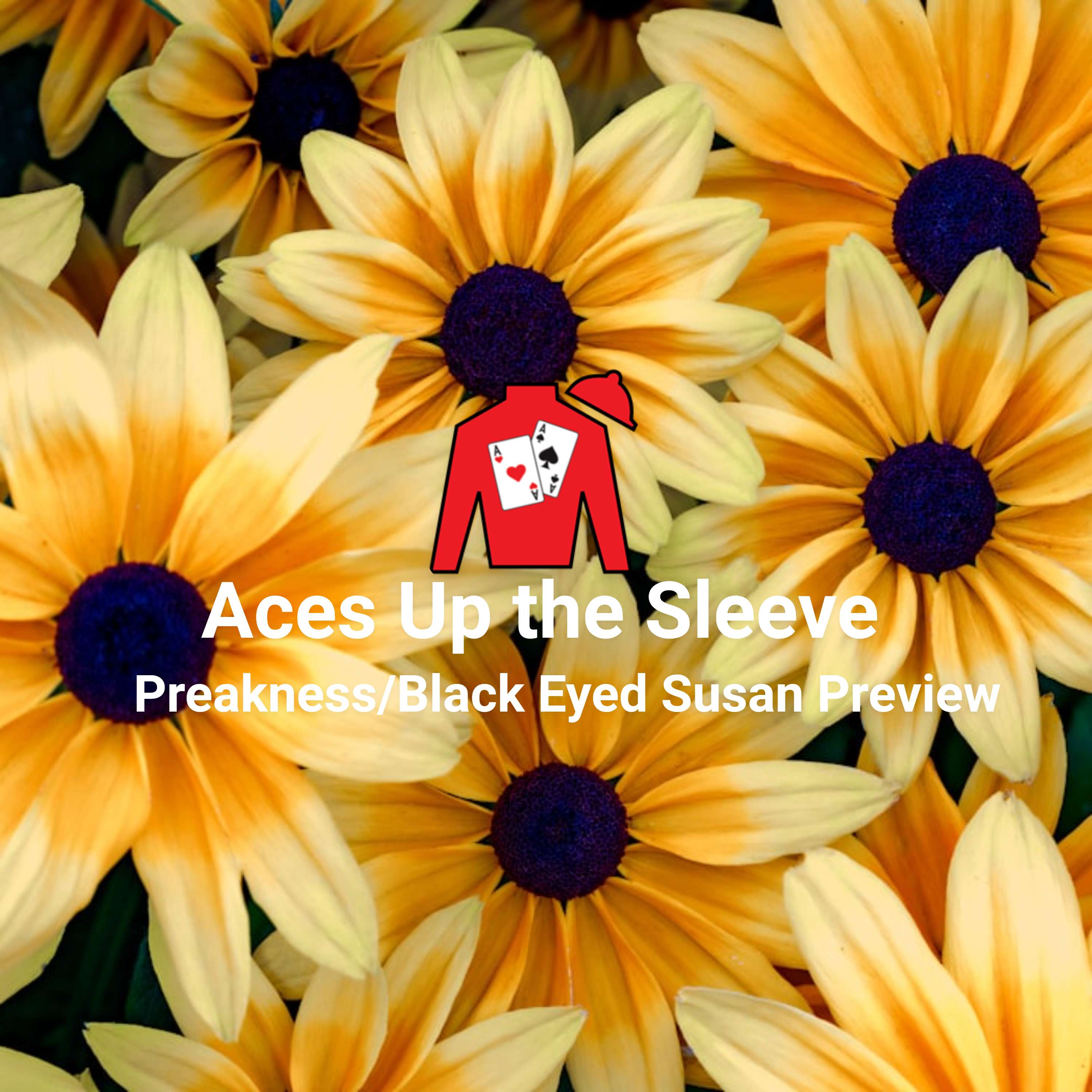 Preakness/Black-Eyed Susan Preview