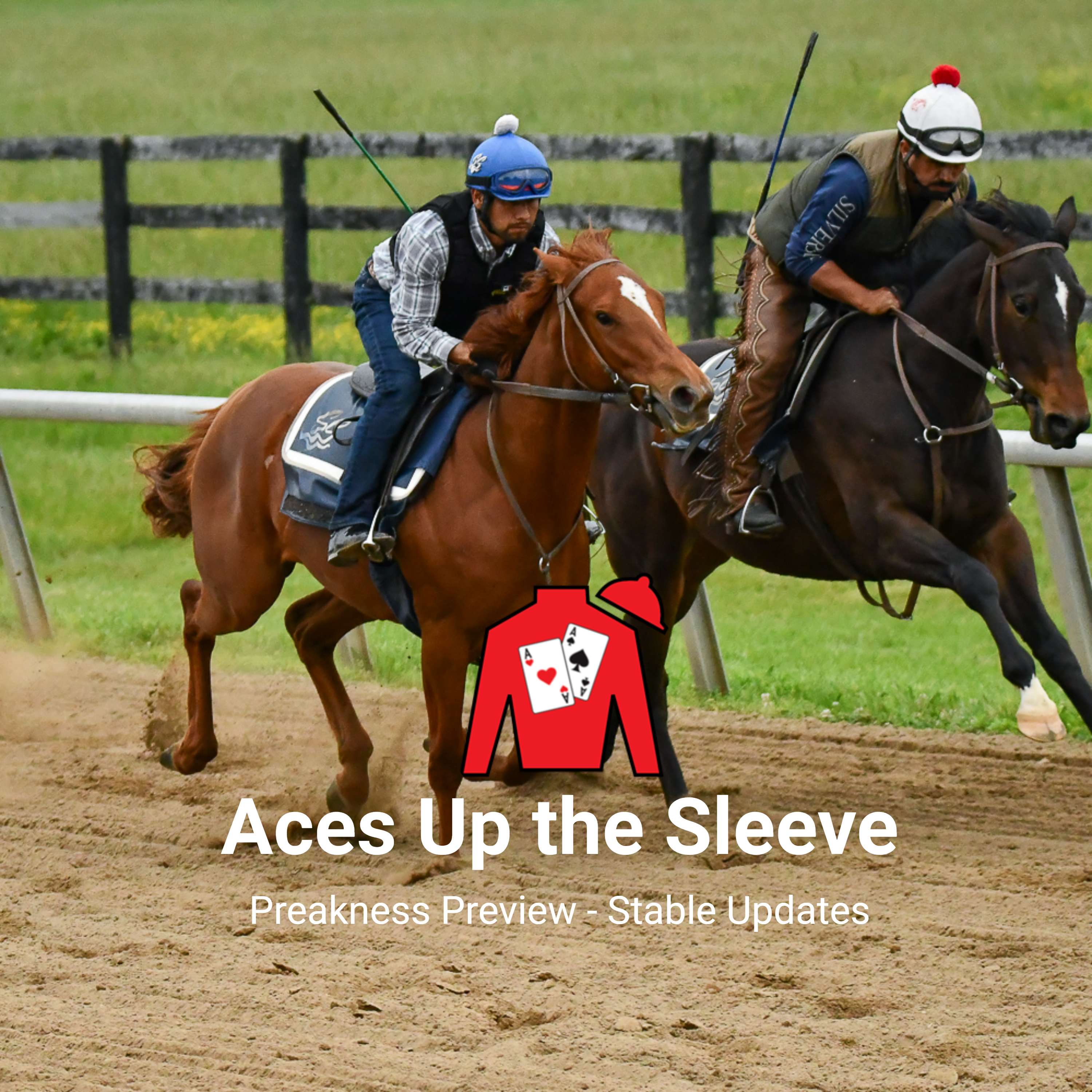 Preakness Review - Stable Updates