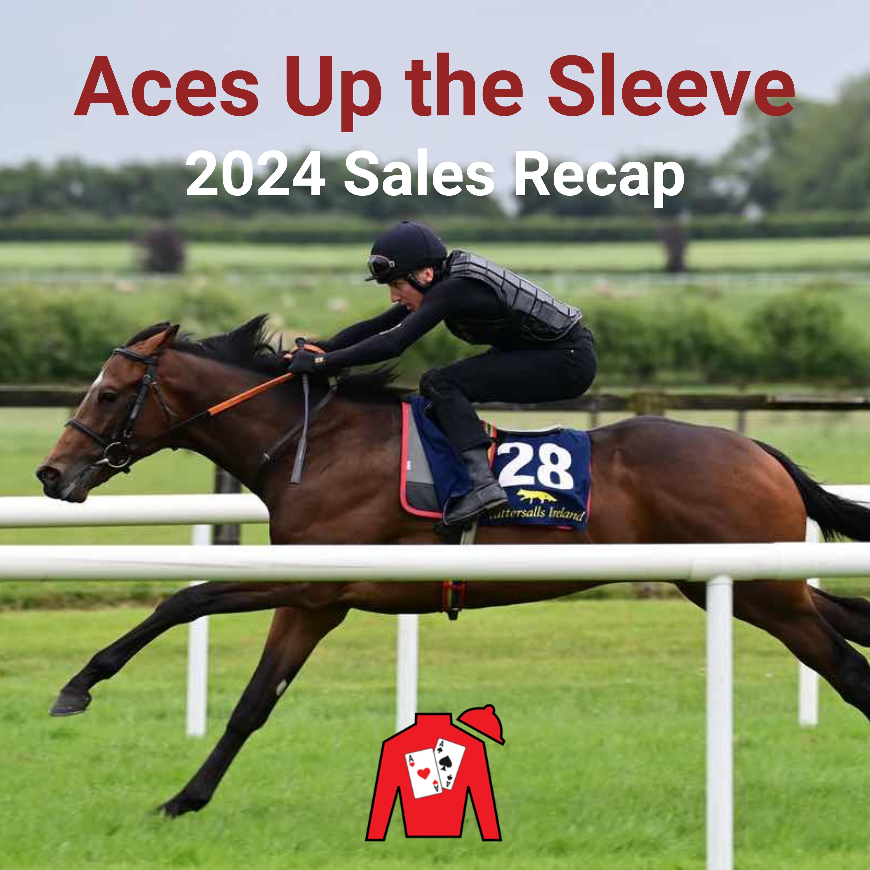 Sales Recap 2024