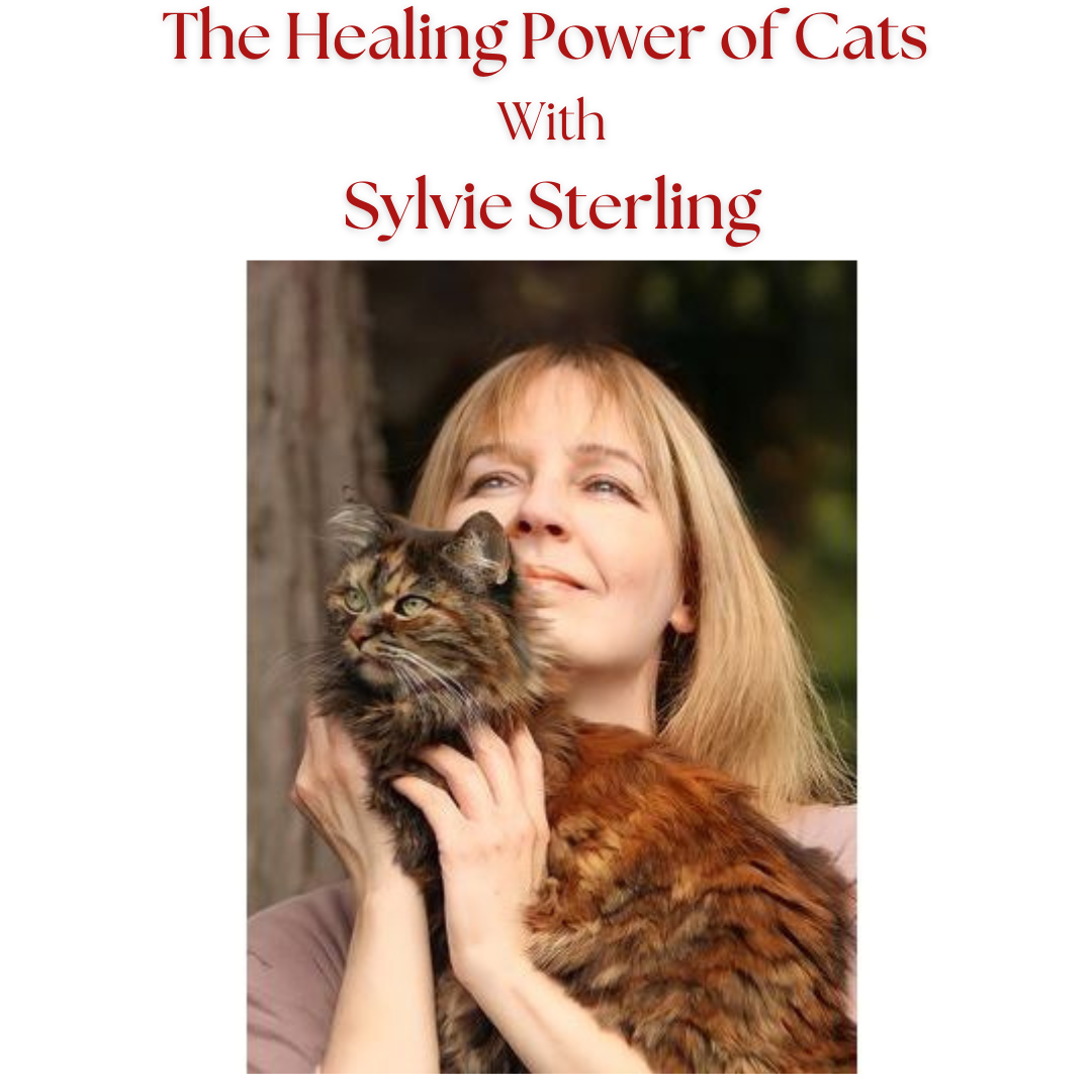 The Healing Power of Cats with Sylvie Sterling