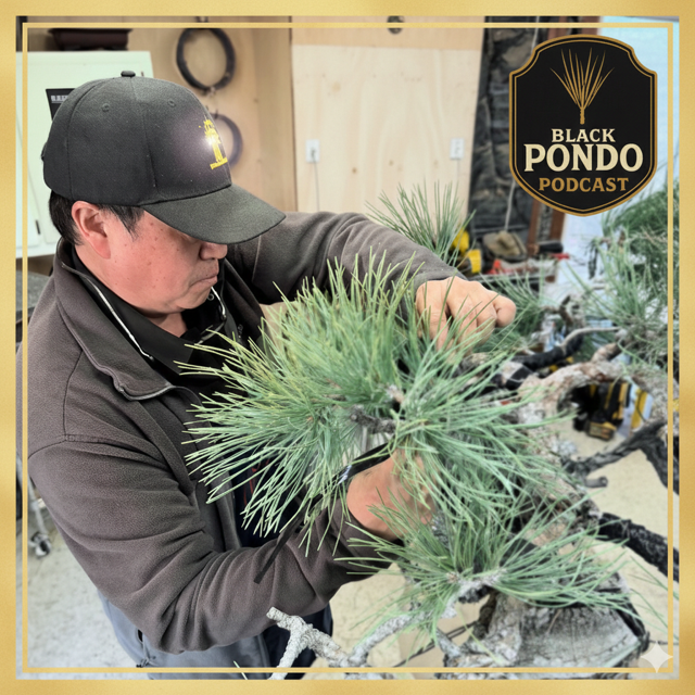 #36 Peter Tea - Part 1