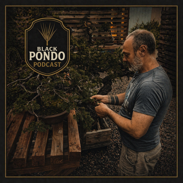 Episode Cover
