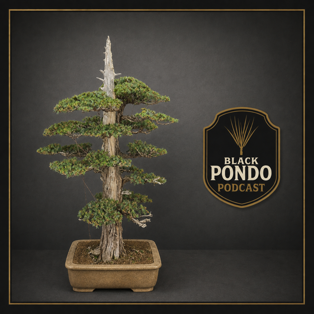 Episode Cover