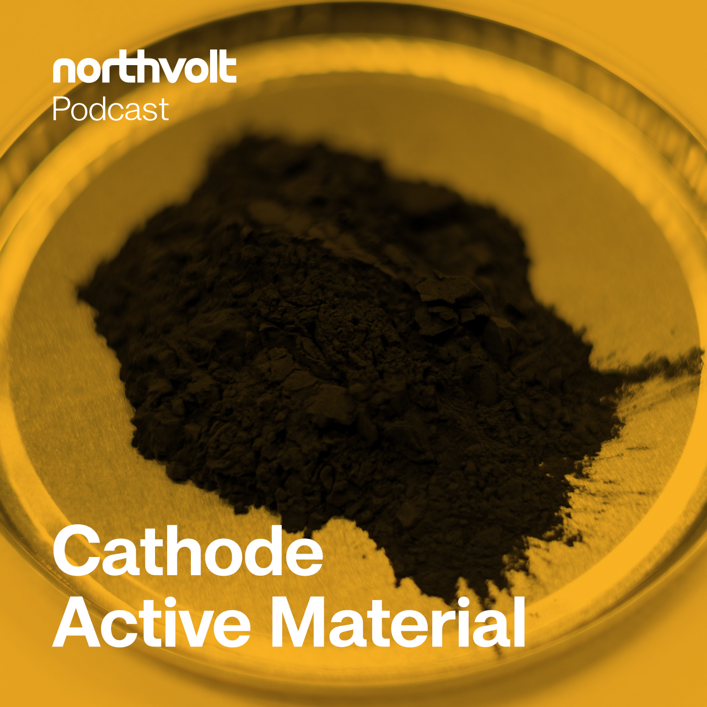 In the loop: Cathode Active Material