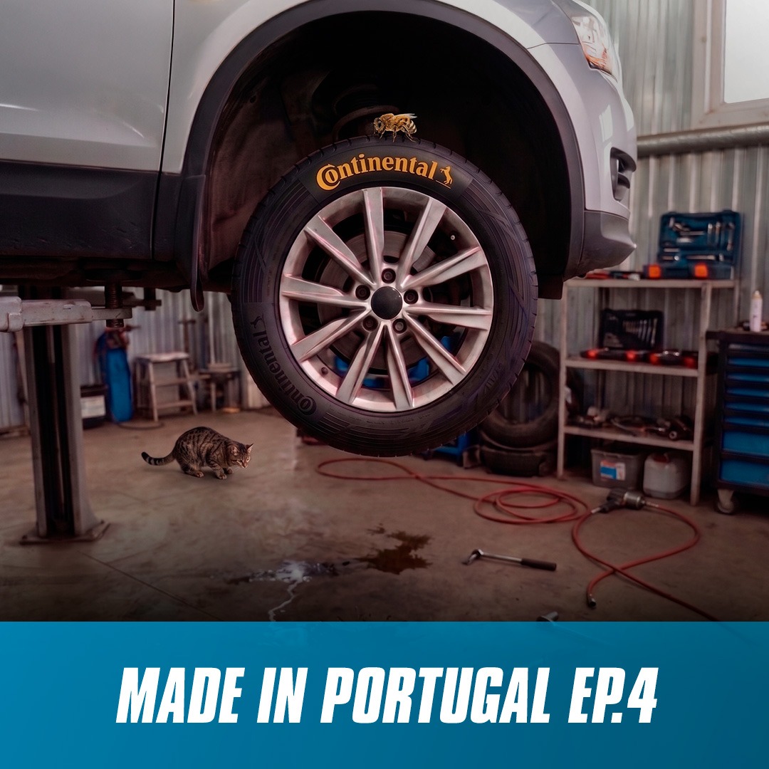 Made in Portugal: O que gatos e abelhas têm a ver com pneus?