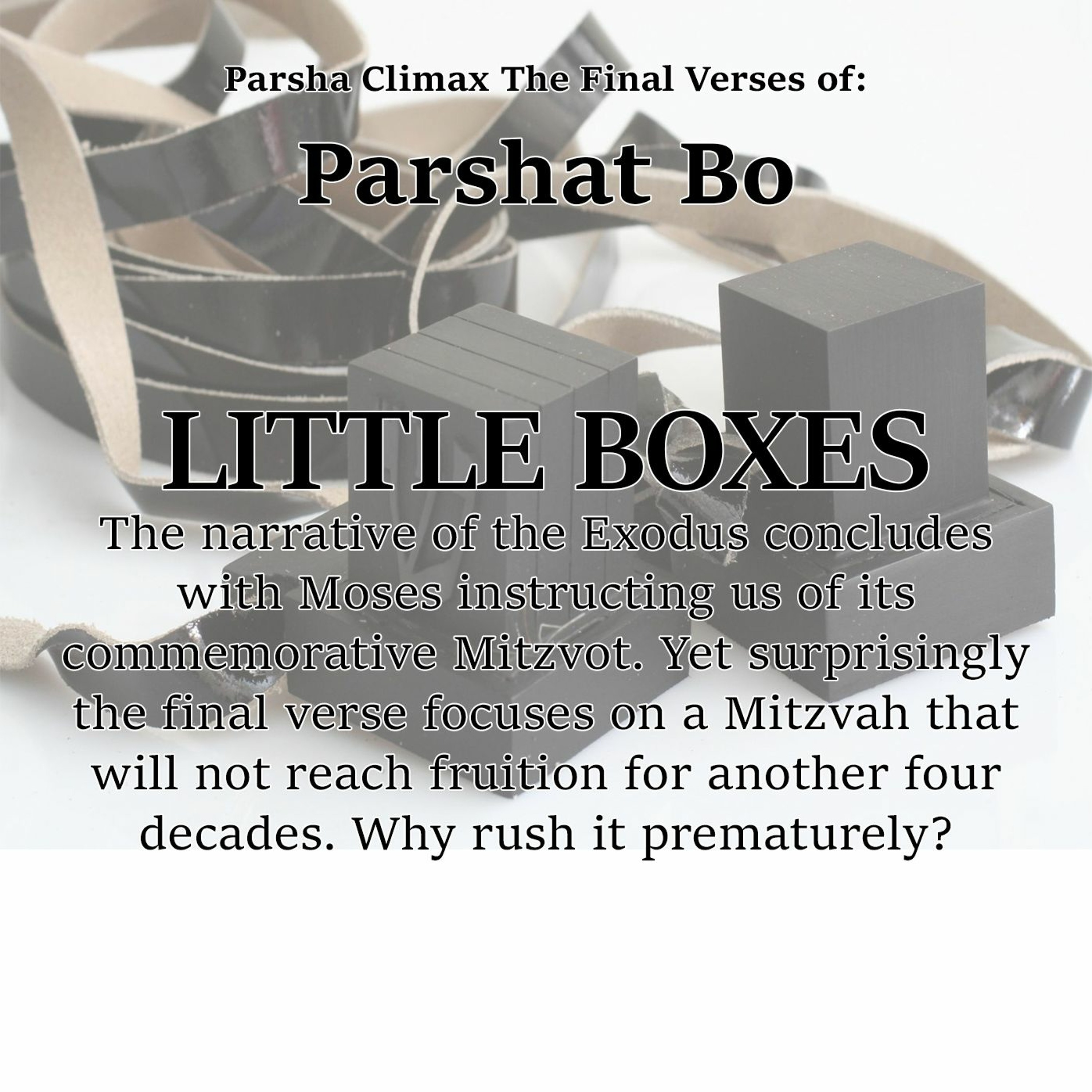   The Final Verses Of Parshat Bo