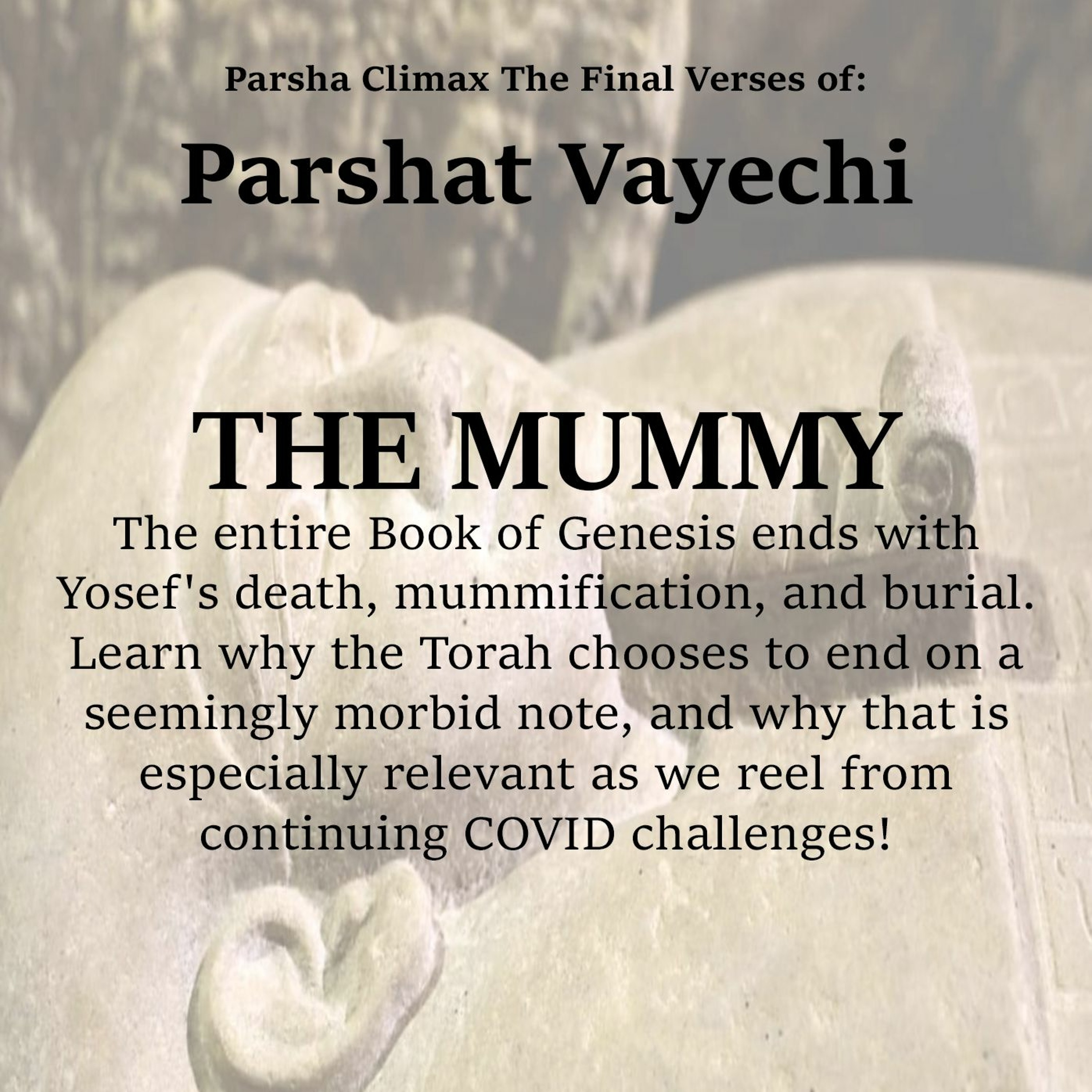   Final Verses Of Parshat Vayechi