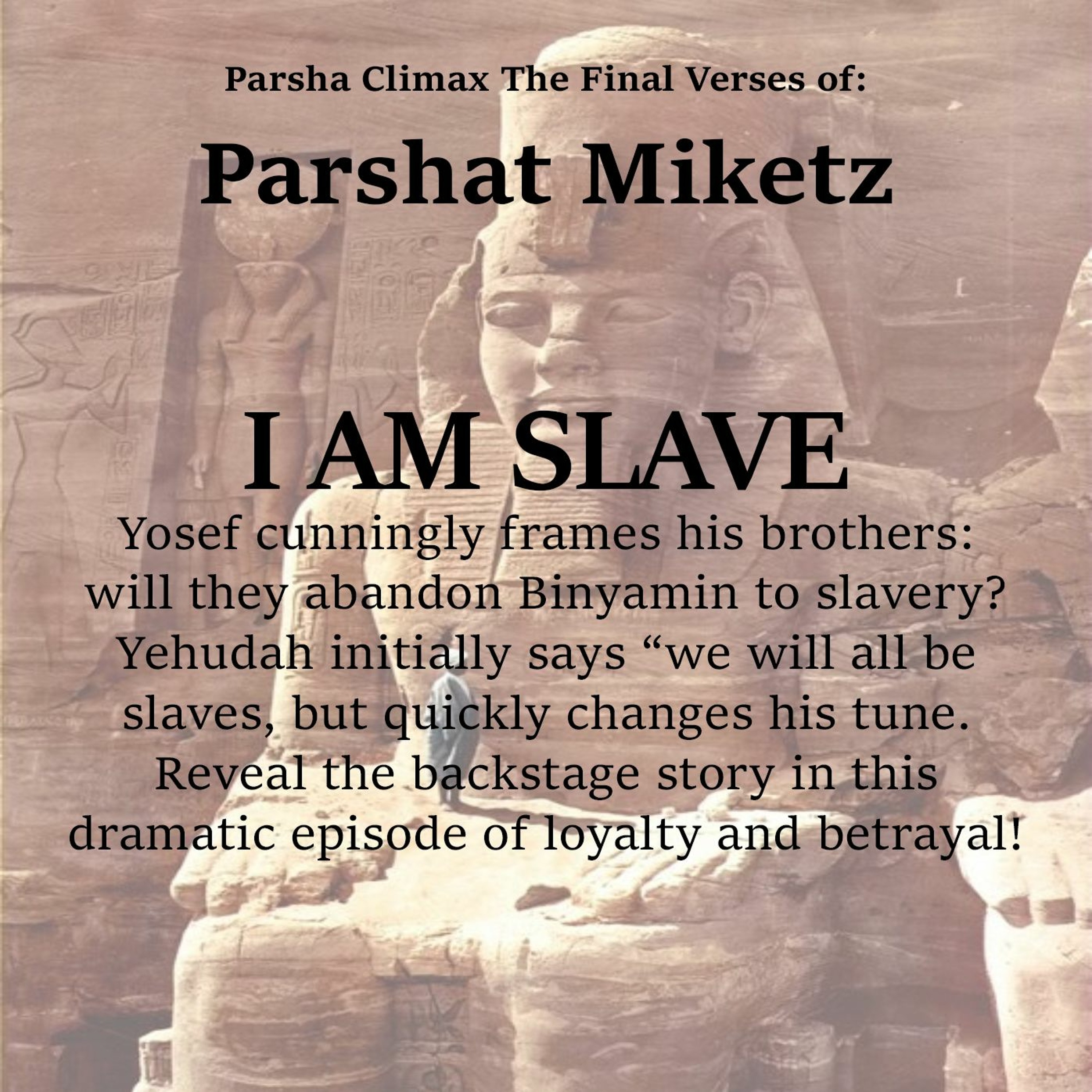   The Final Verses of Parshat Miketz