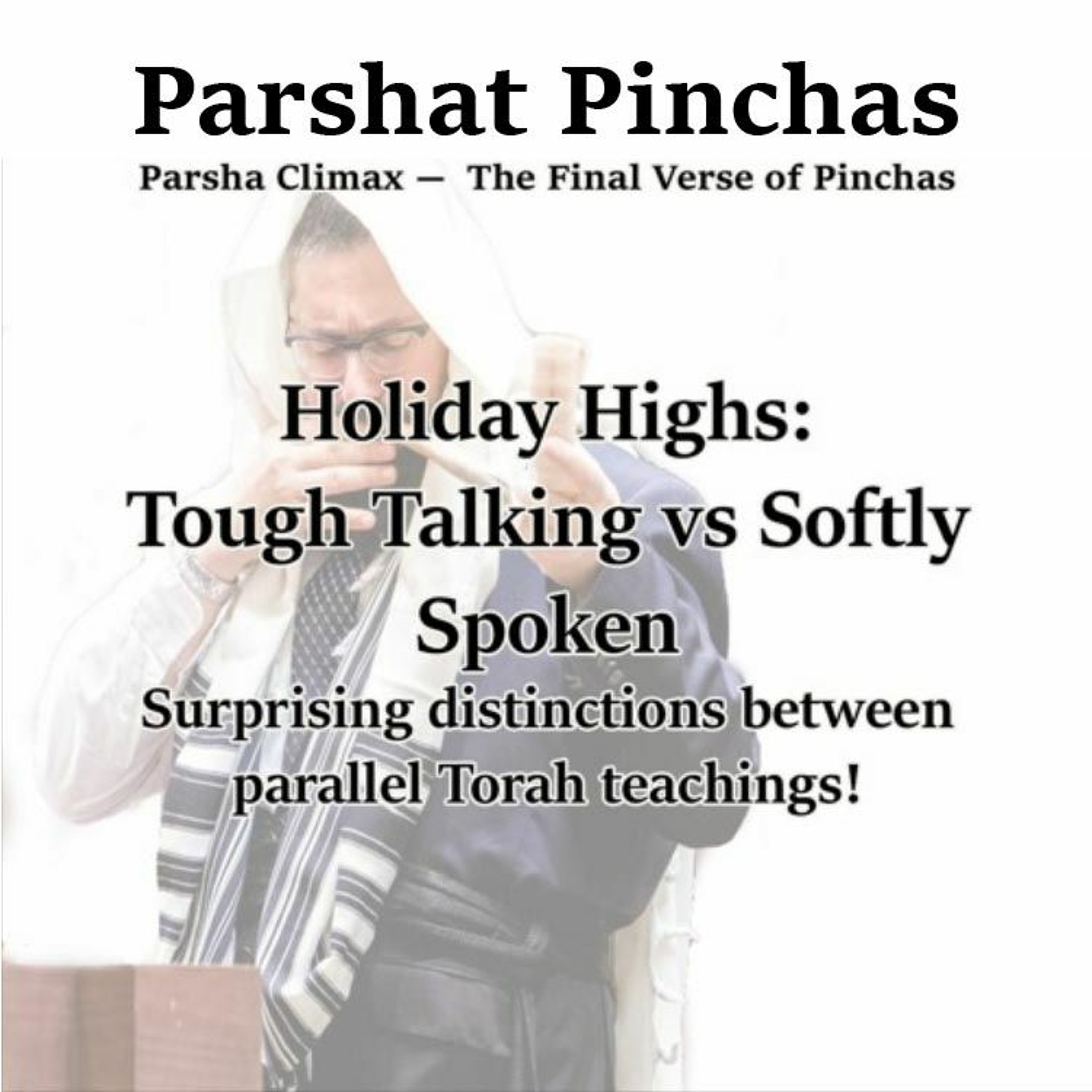 Parsha Climax- The Final Verse Of Parshat Pinchas