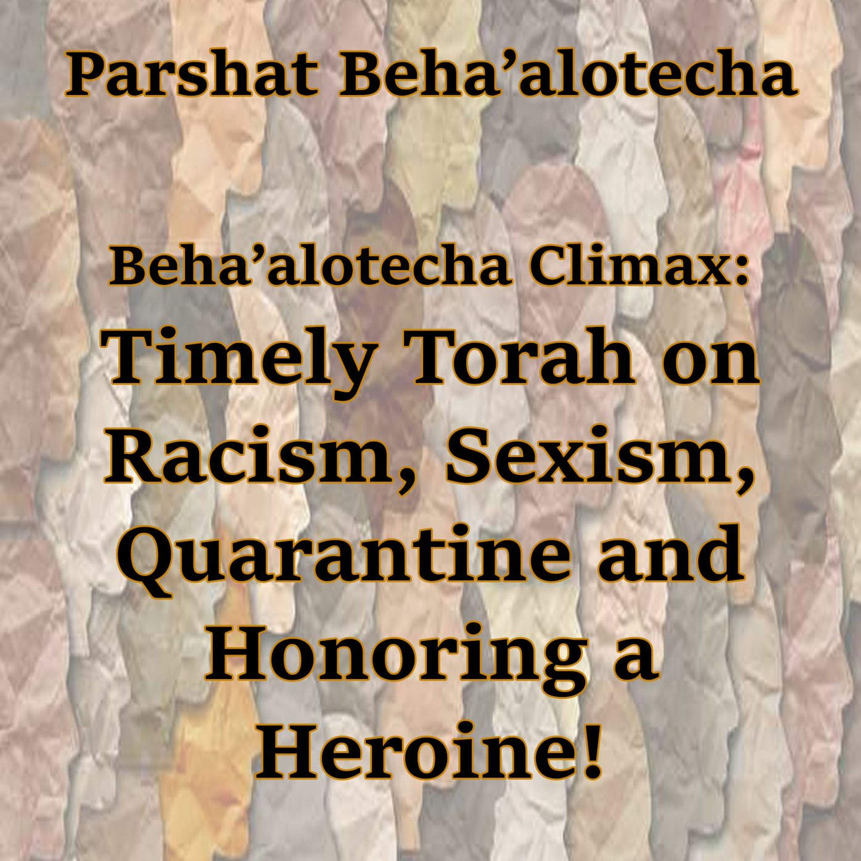 Timely Torah on Racism, Sexism, Quarantine and Honoring a Heroine!