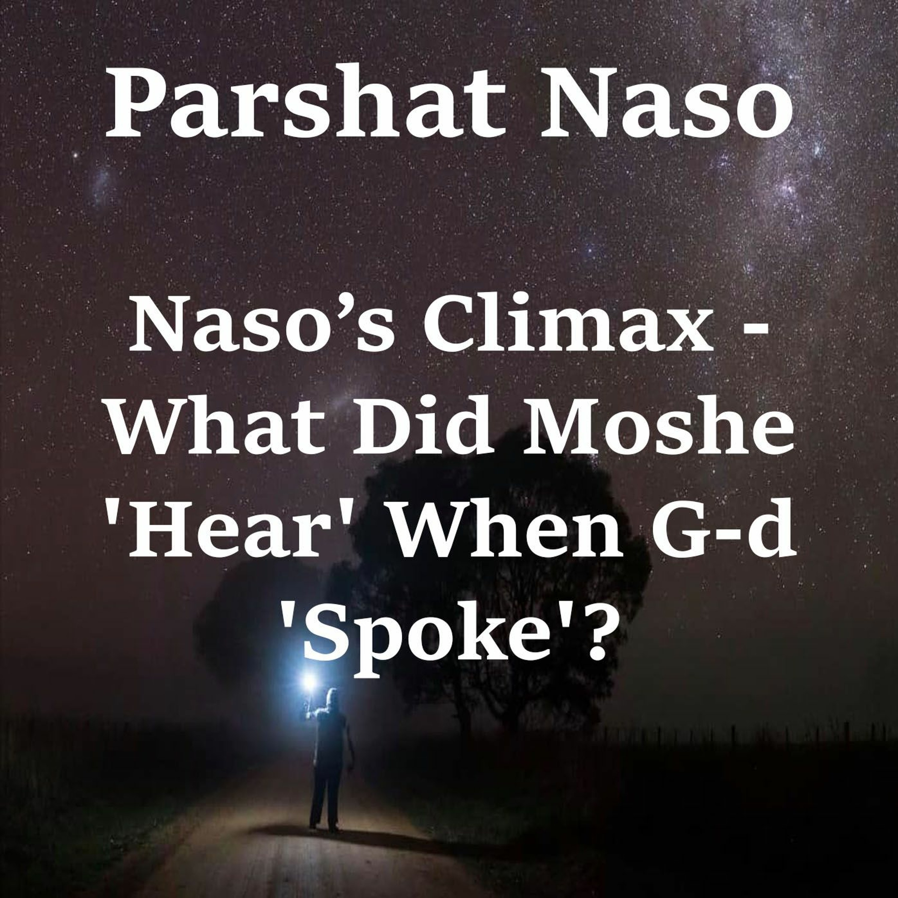 Naso’s Climax - What Did Moshe 'Hear' When G-d 'Spoke'?