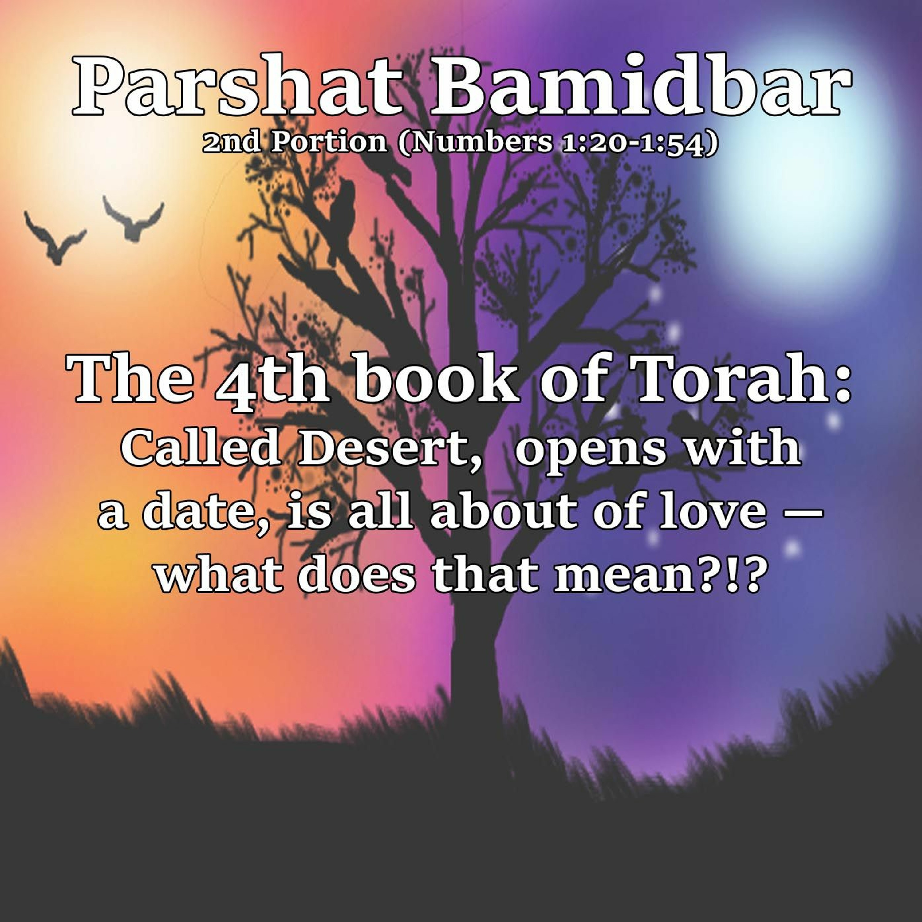 The 4th book of Torah called Desert, opens with a date, is all about of love —what does that mean!