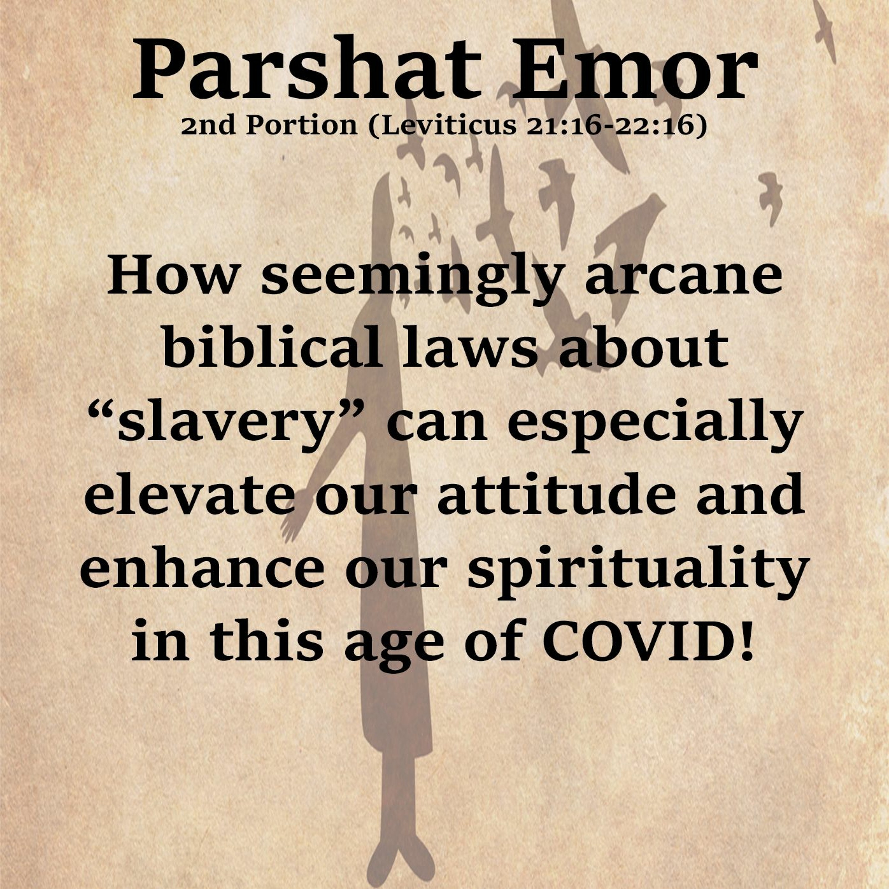 How seemingly arcane biblical laws about “slavery” can especially elevate our attitude...