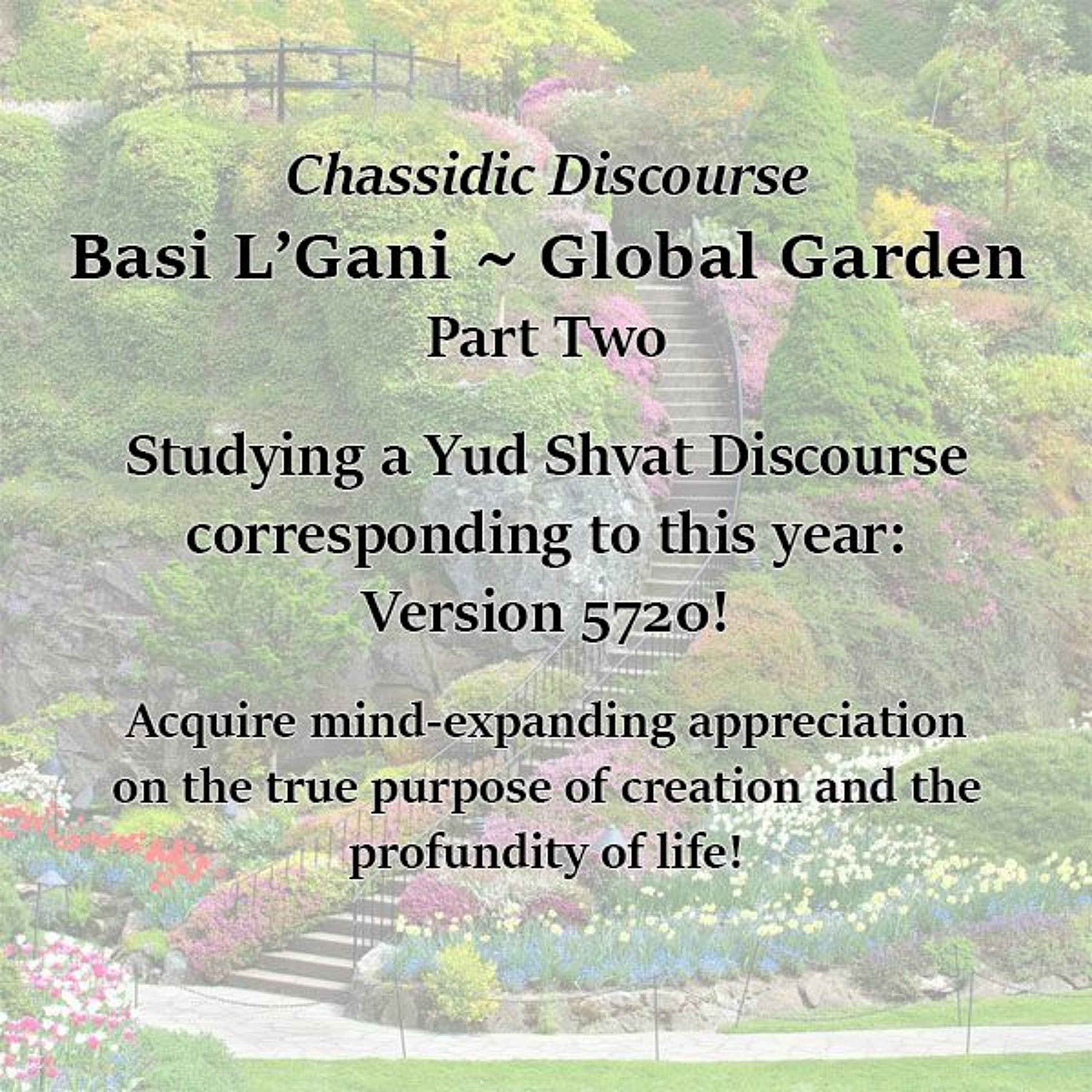 Basi L’Gani ~ Global Garden - Part 2
