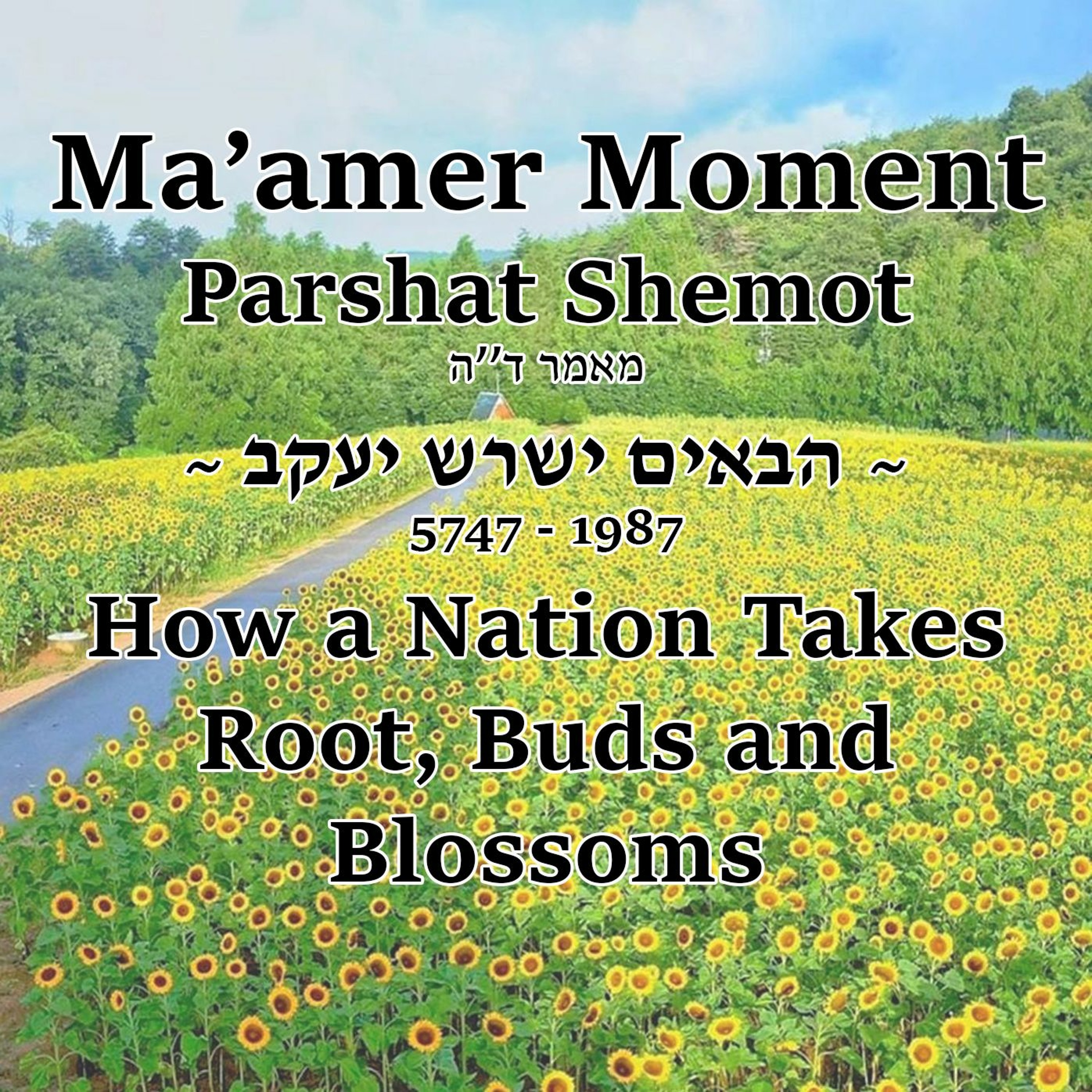 How a Nation Takes Root, Buds and Blossoms