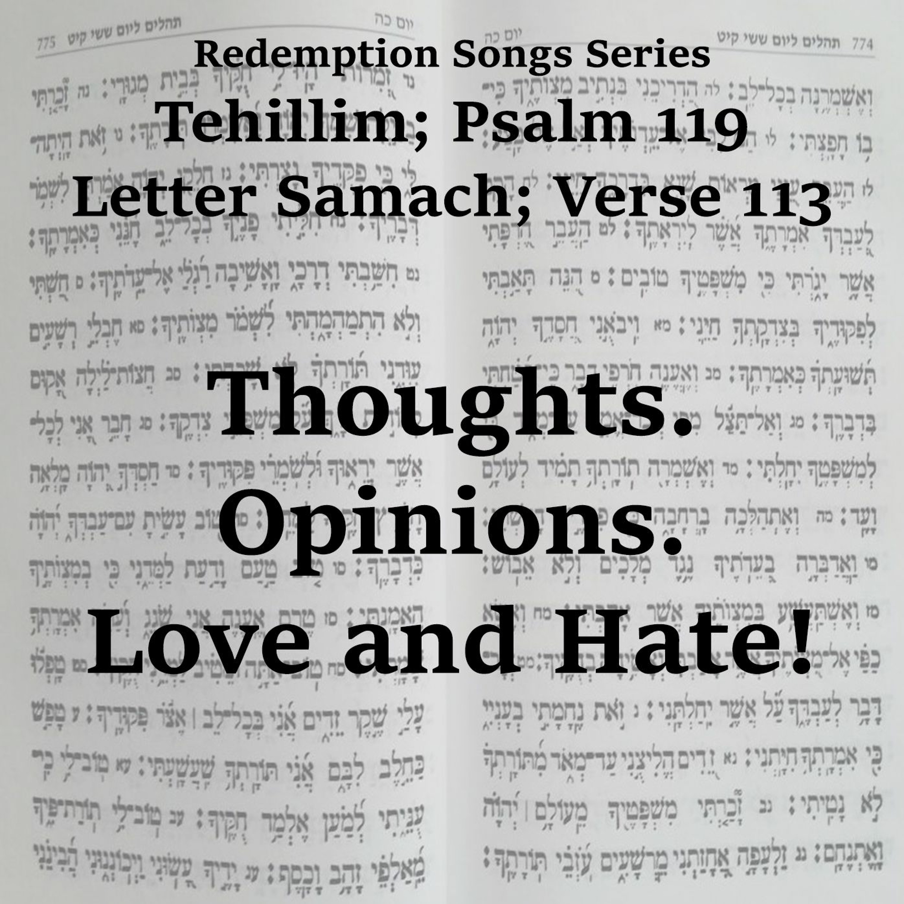 Thoughts. Opinions. Love and Hate!