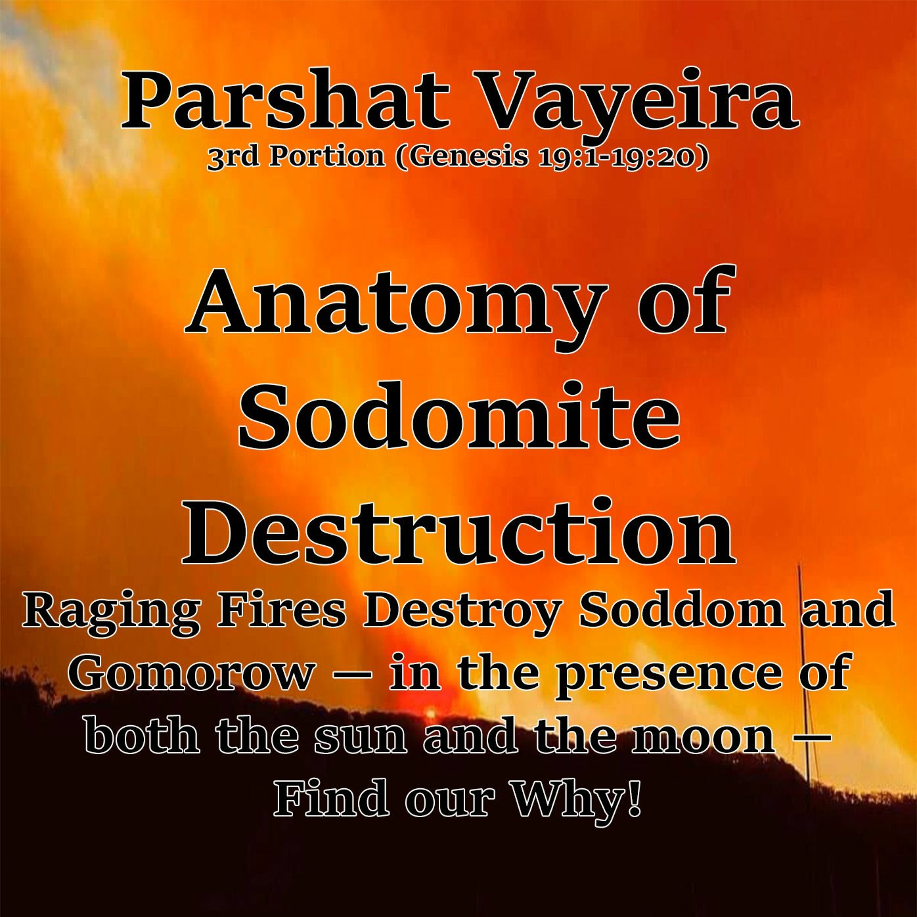 Anatomy of Sodomite Destruction